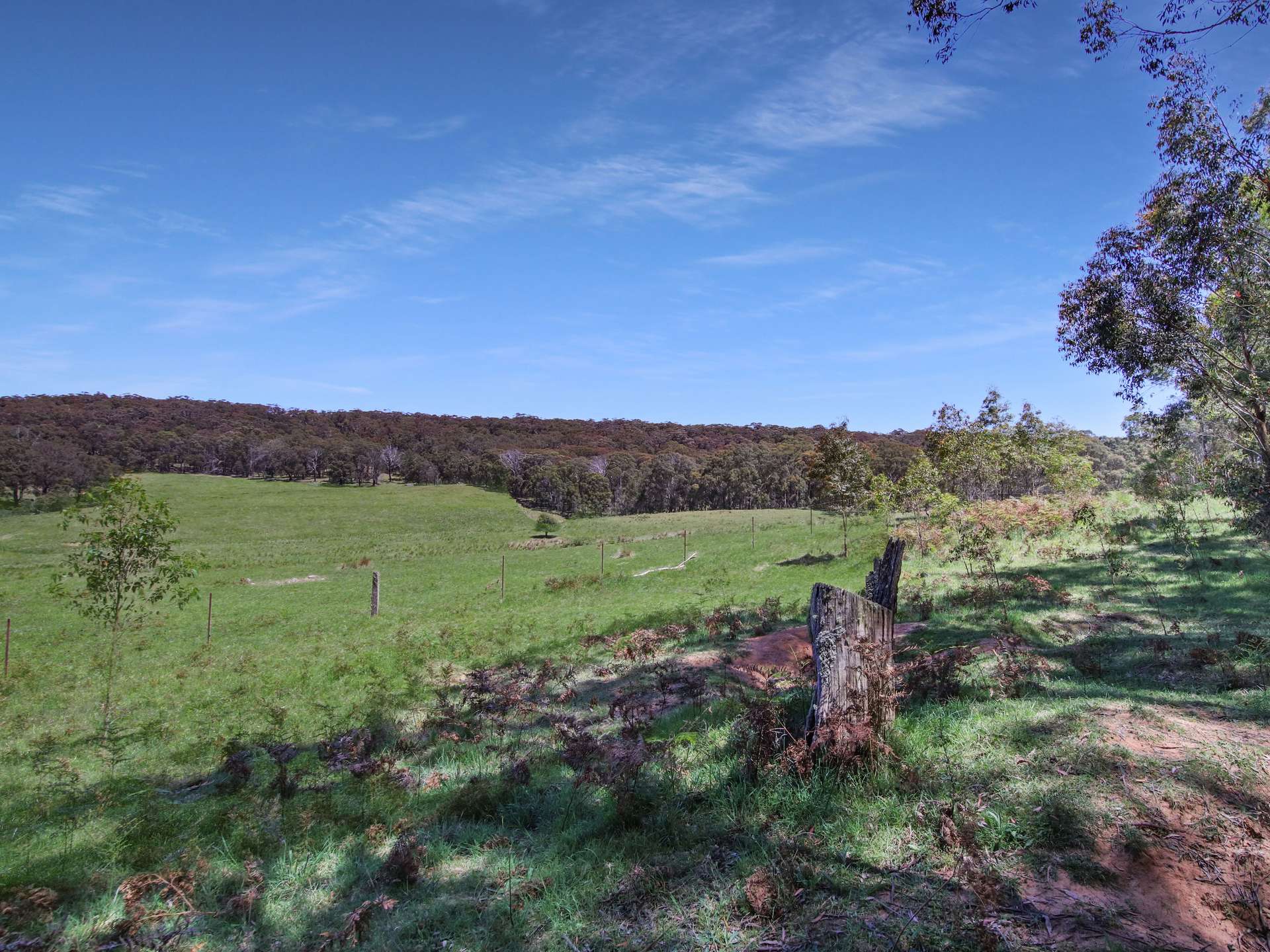 12 Bluebell Road, Braidwood For Sale by Farmbuy.com - image 25