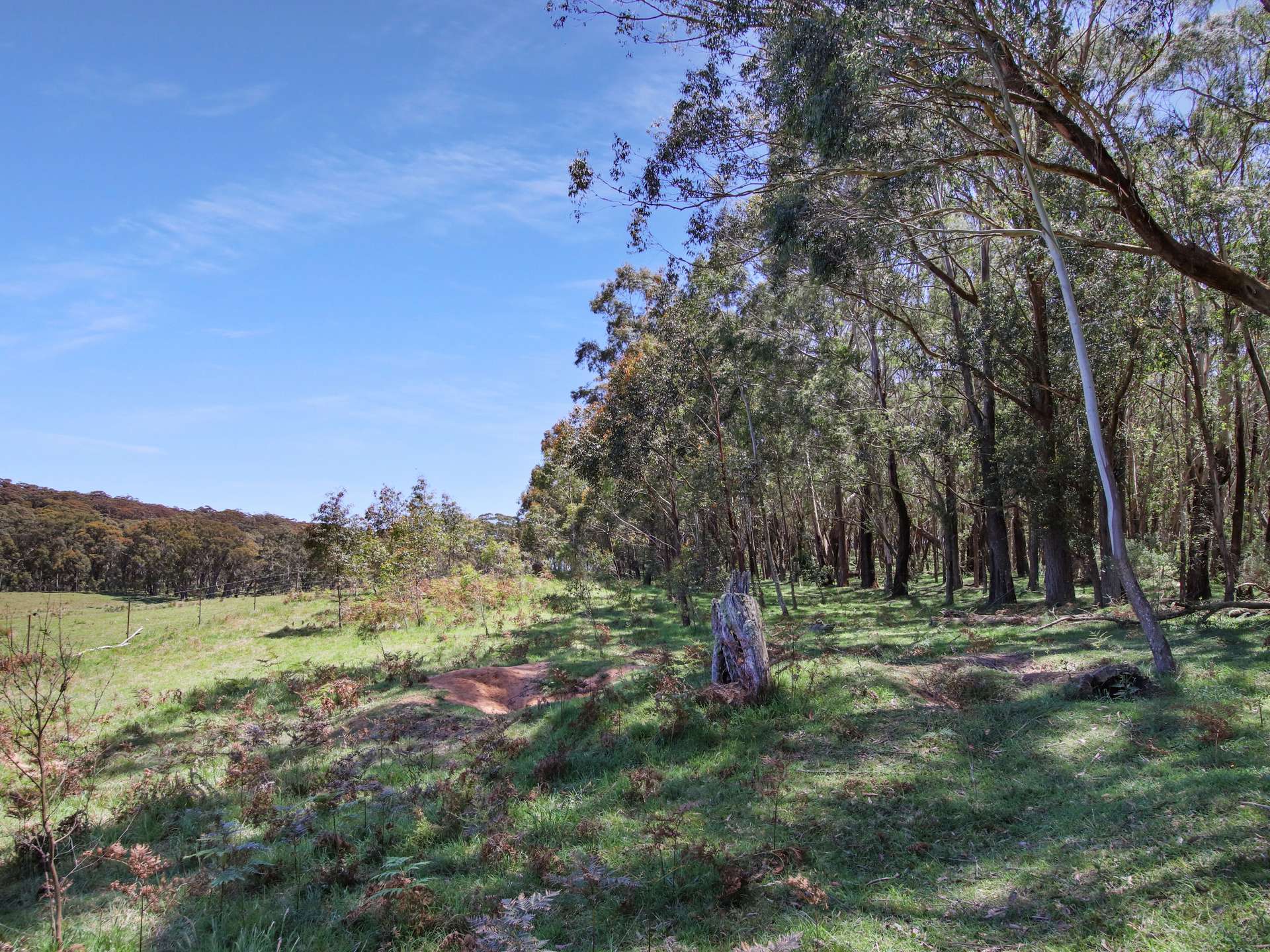 12 Bluebell Road, Braidwood For Sale by Farmbuy.com - image 24