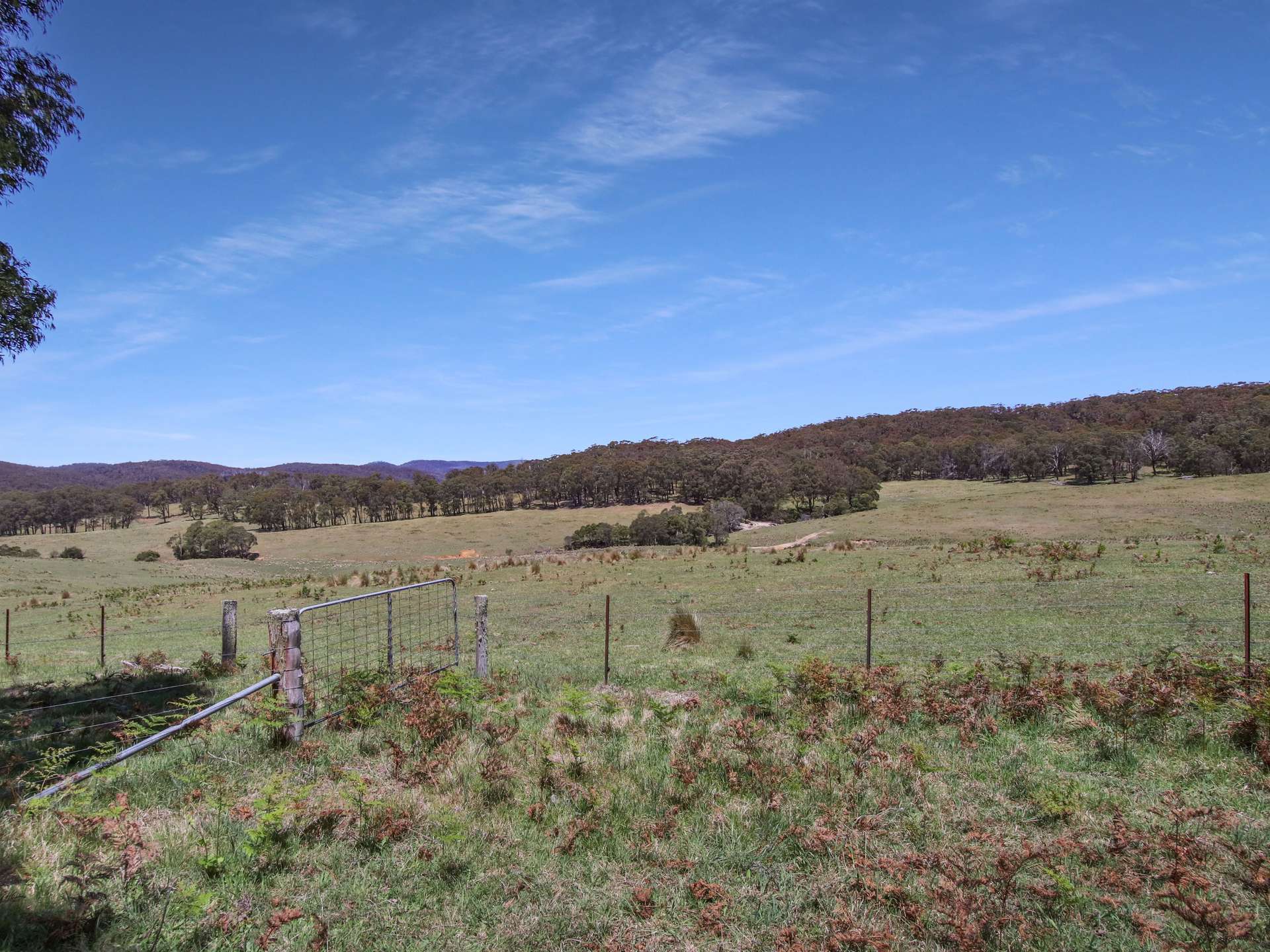 12 Bluebell Road, Braidwood For Sale by Farmbuy.com - image 23