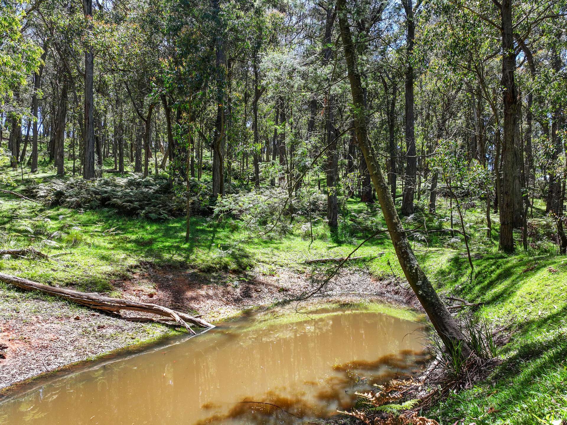 12 Bluebell Road, Braidwood For Sale by Farmbuy.com - image 3
