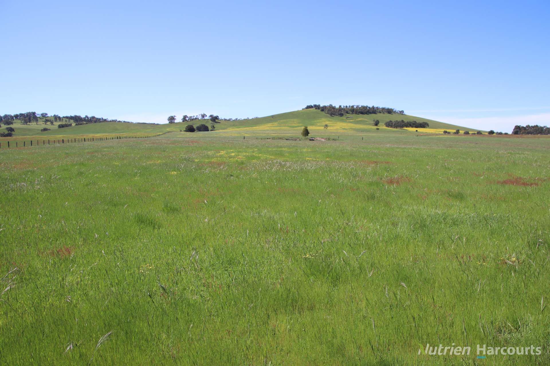 Lots 2 & 3 Blackbottom Road, Langi Kal Kal Sold by Farmbuy.com - image 5