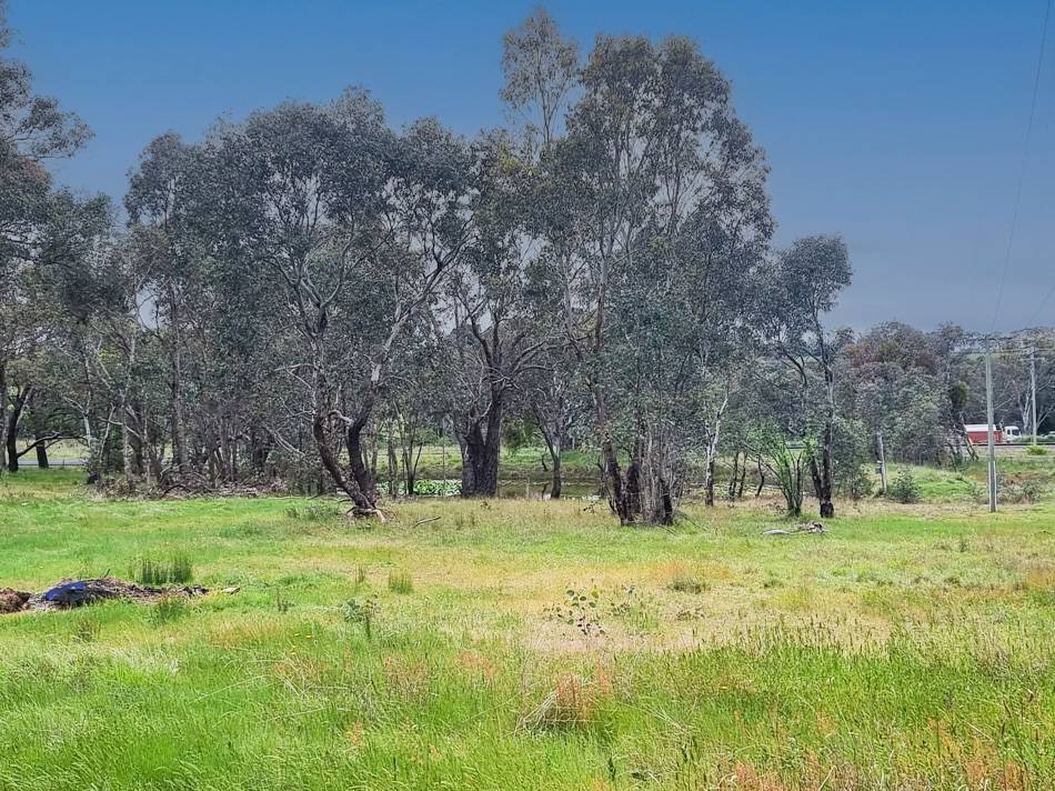 1396 Amaroo Road, Borenore Sold by Farmbuy.com - image 14