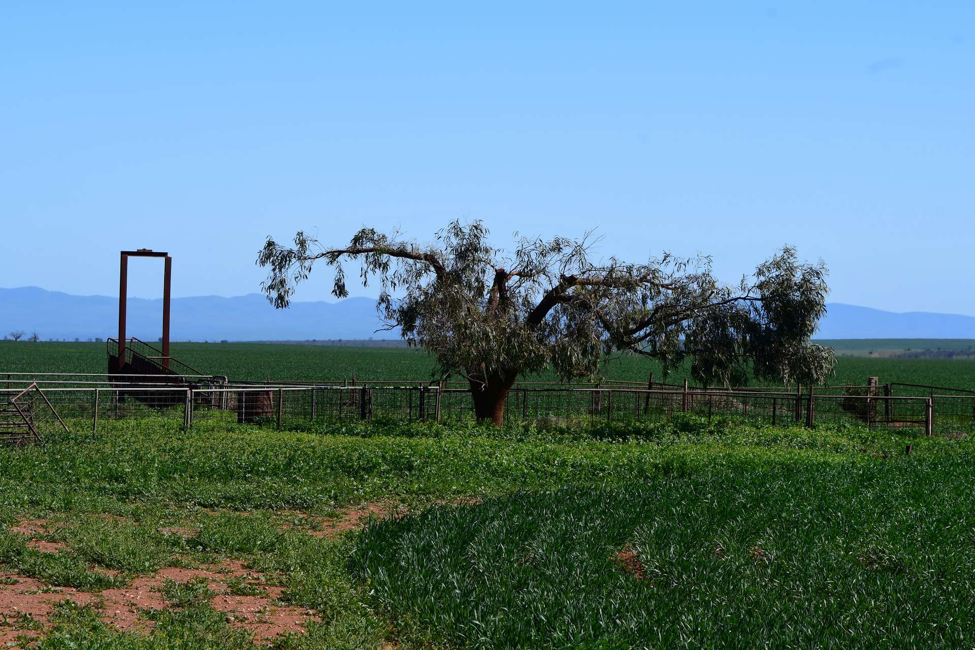 SECTION 121 Orroroo Road, Willowie For Sale by Farmbuy.com - image 8