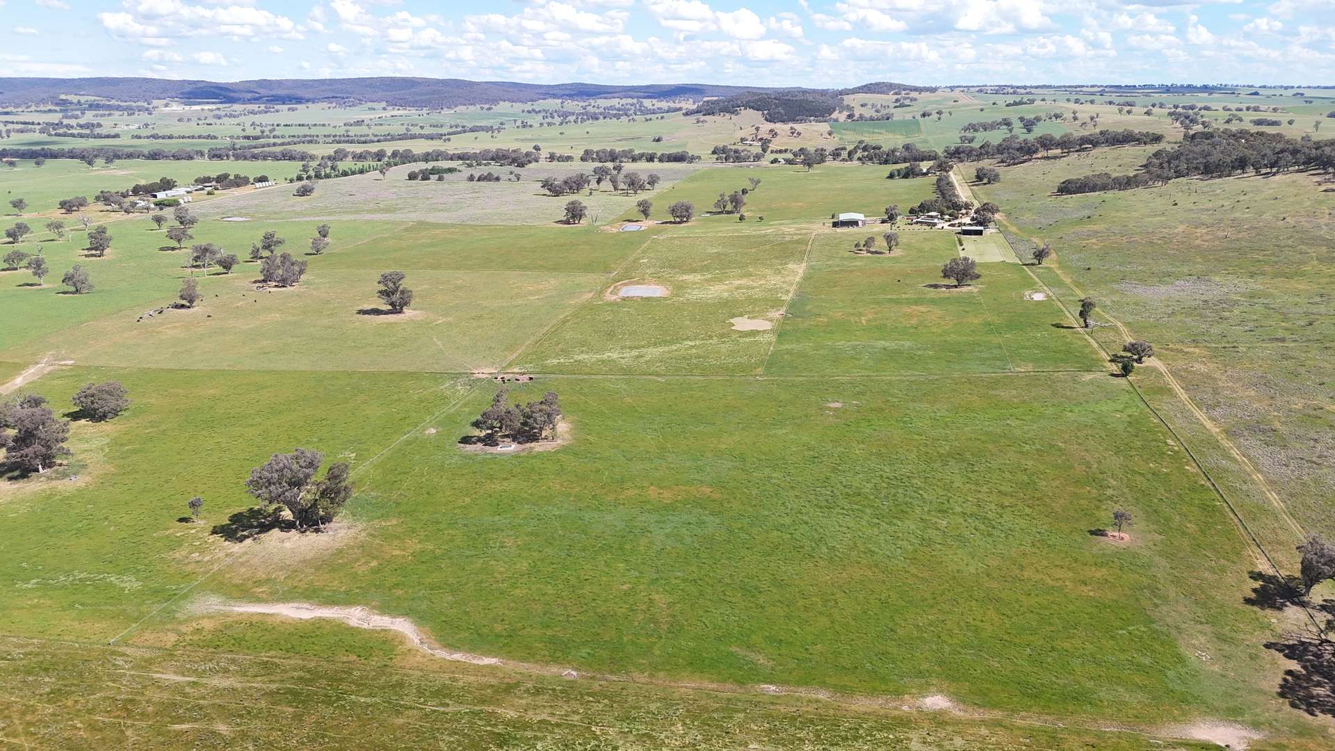 3374 Murringo Road, Young For Sale by Farmbuy.com - image 10
