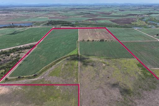 505 Trent Road, Alva QLD 4807