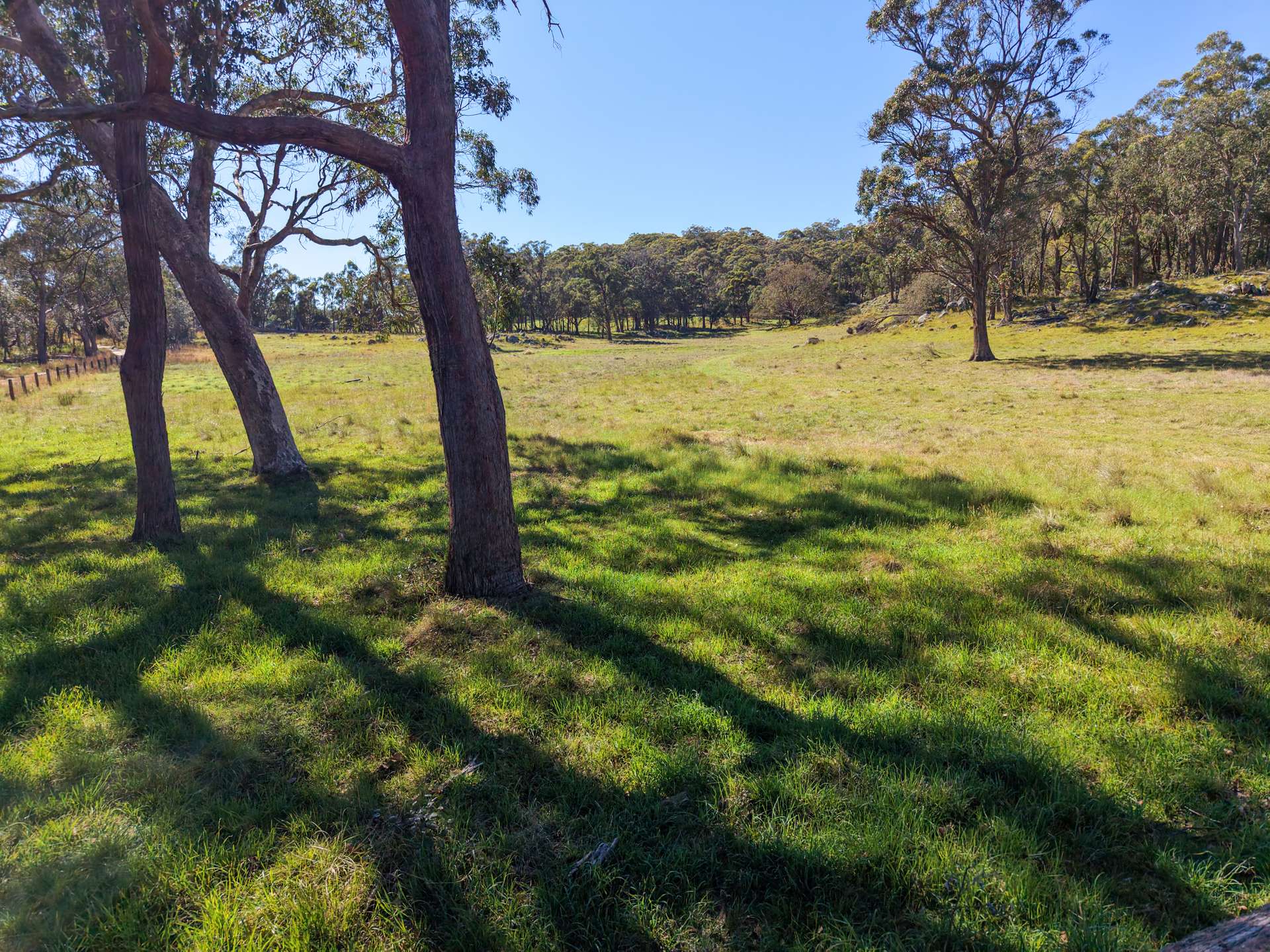 2153 Mount Lindesay Road, Tenterfield Sold by Farmbuy.com - image 20