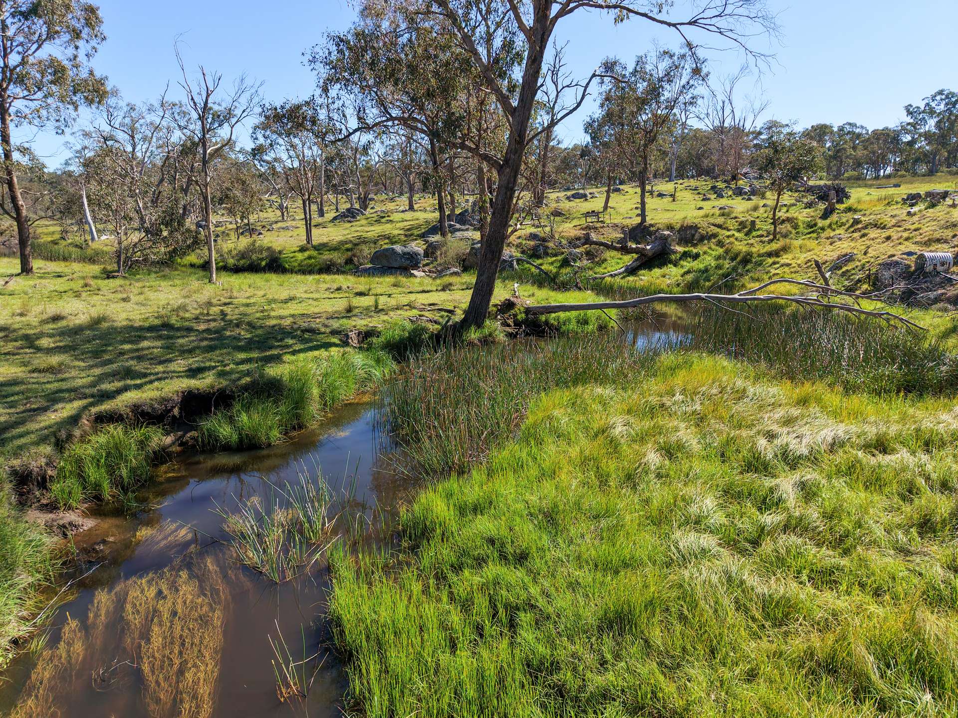 2153 Mount Lindesay Road, Tenterfield Sold by Farmbuy.com - image 25
