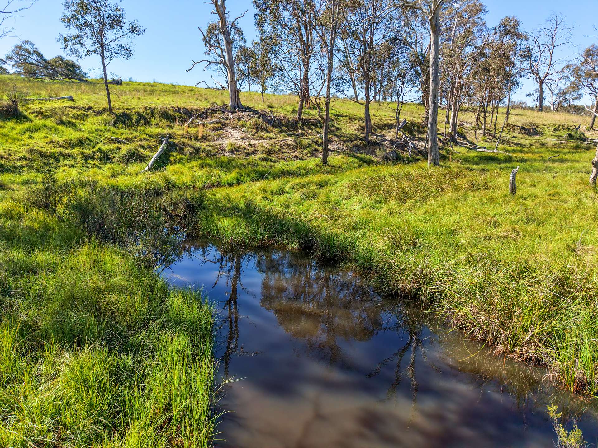 2153 Mount Lindesay Road, Tenterfield Sold by Farmbuy.com - image 19