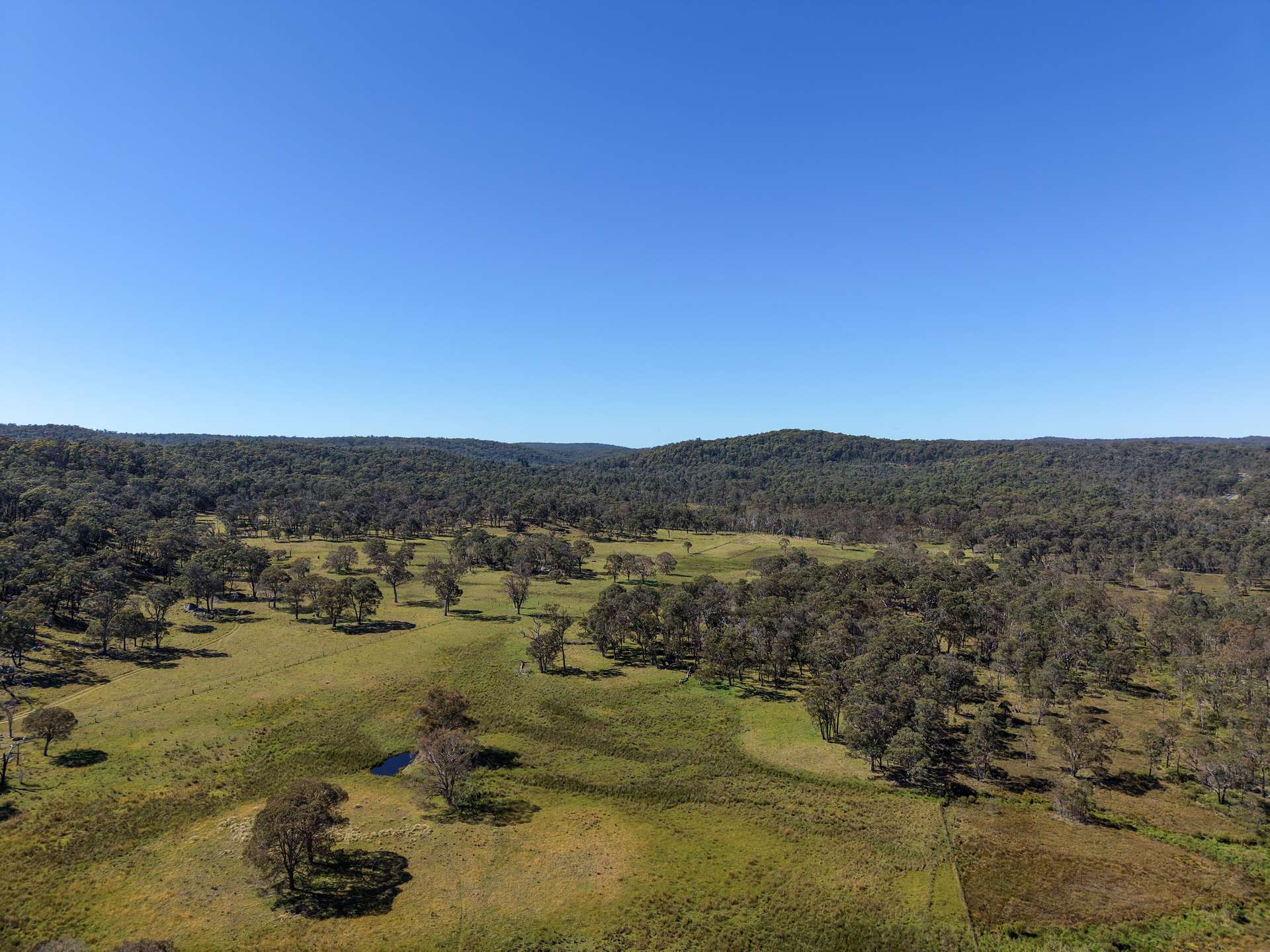 2153 Mount Lindesay Road, Tenterfield Sold by Farmbuy.com - image 8
