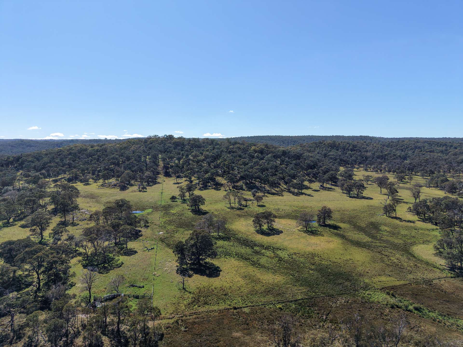 2153 Mount Lindesay Road, Tenterfield Sold by Farmbuy.com - image 23