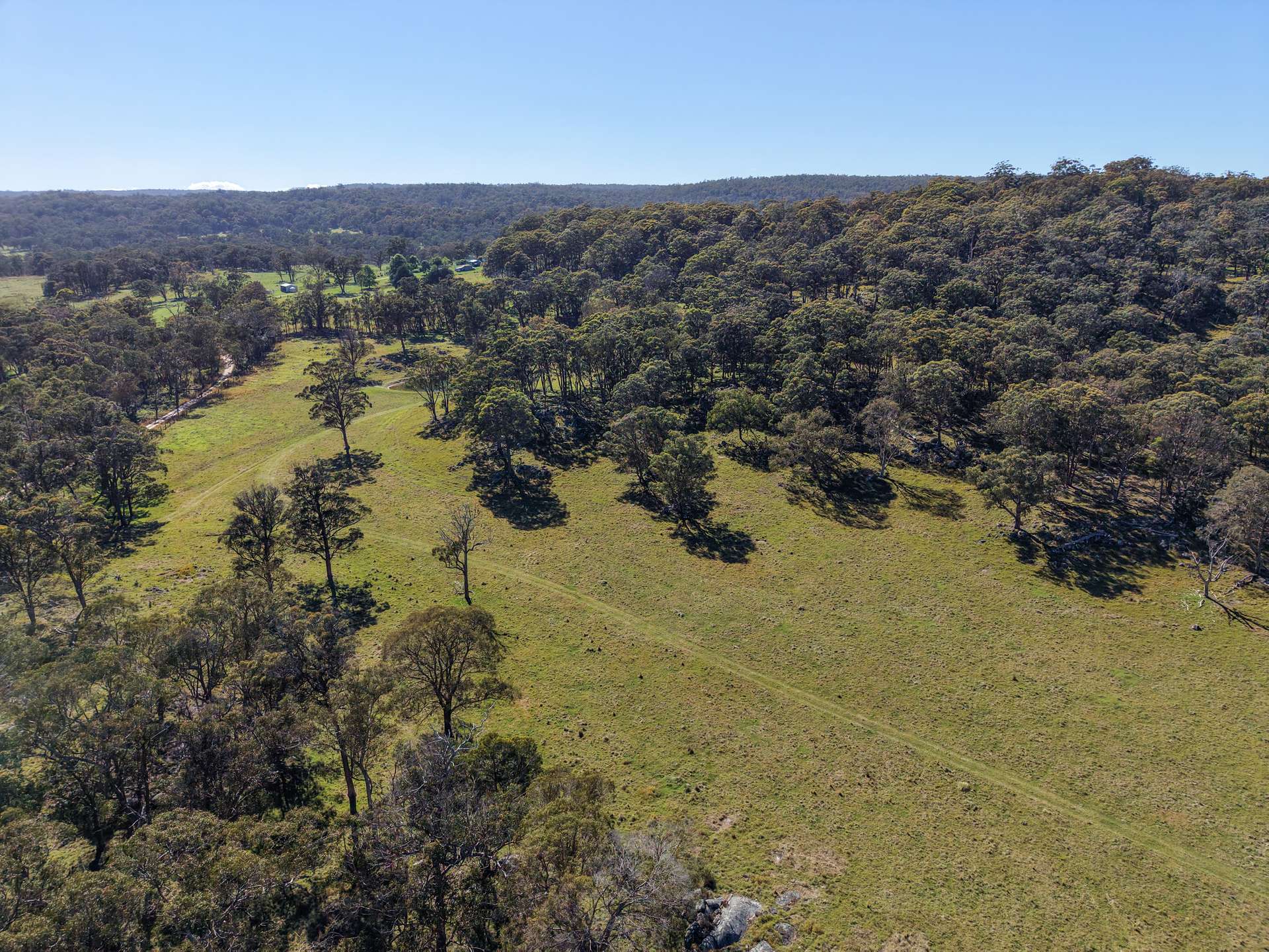 2153 Mount Lindesay Road, Tenterfield Sold by Farmbuy.com - image 18
