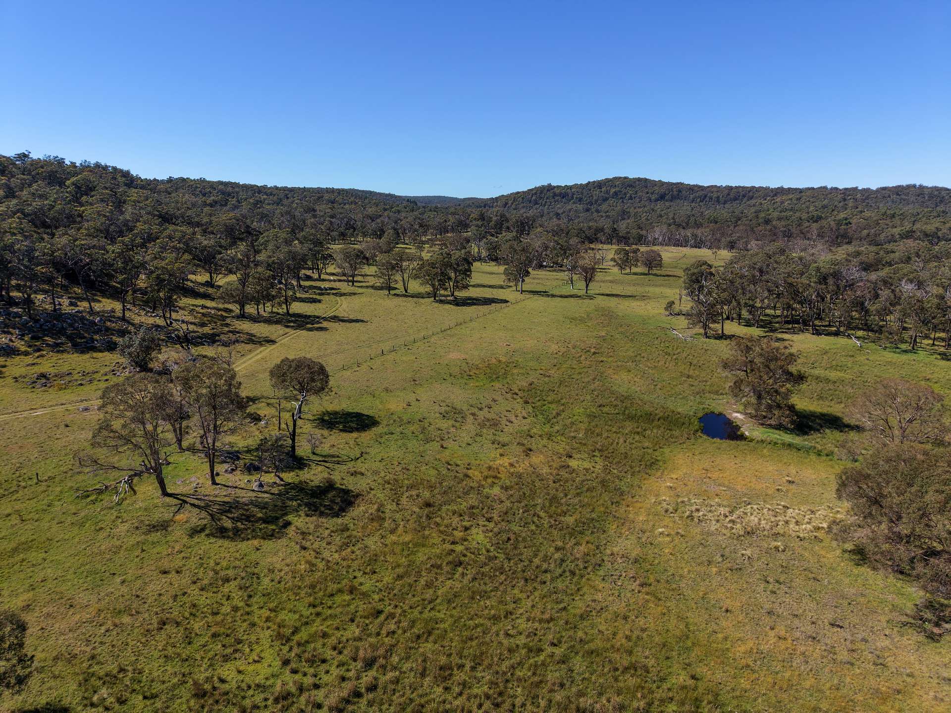 2153 Mount Lindesay Road, Tenterfield Sold by Farmbuy.com - image 27