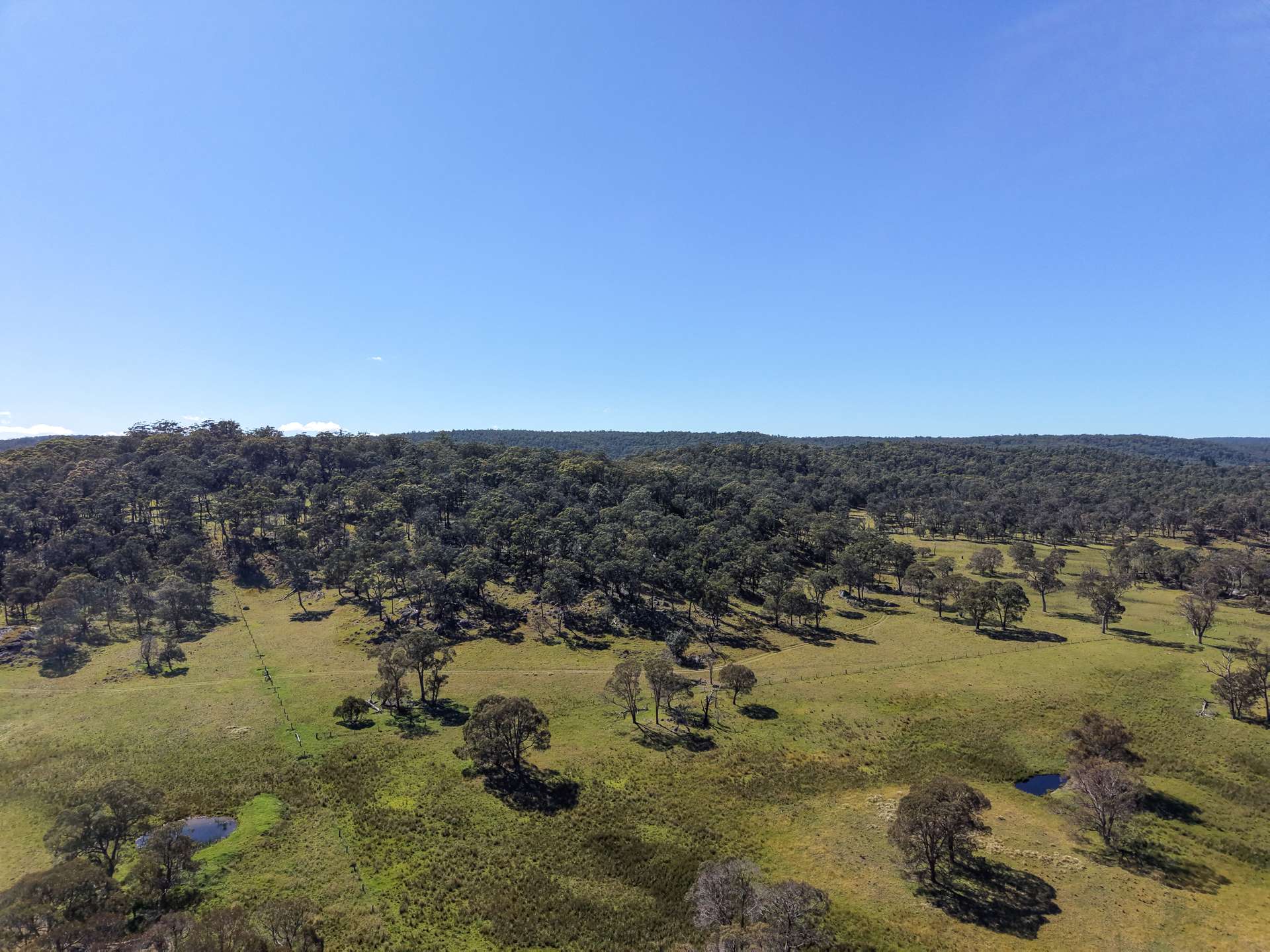 2153 Mount Lindesay Road, Tenterfield Sold by Farmbuy.com - image 24
