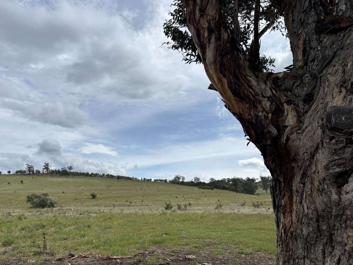 Lot 1 Orielton Road, Orielton For Sale by Farmbuy.com - image 8