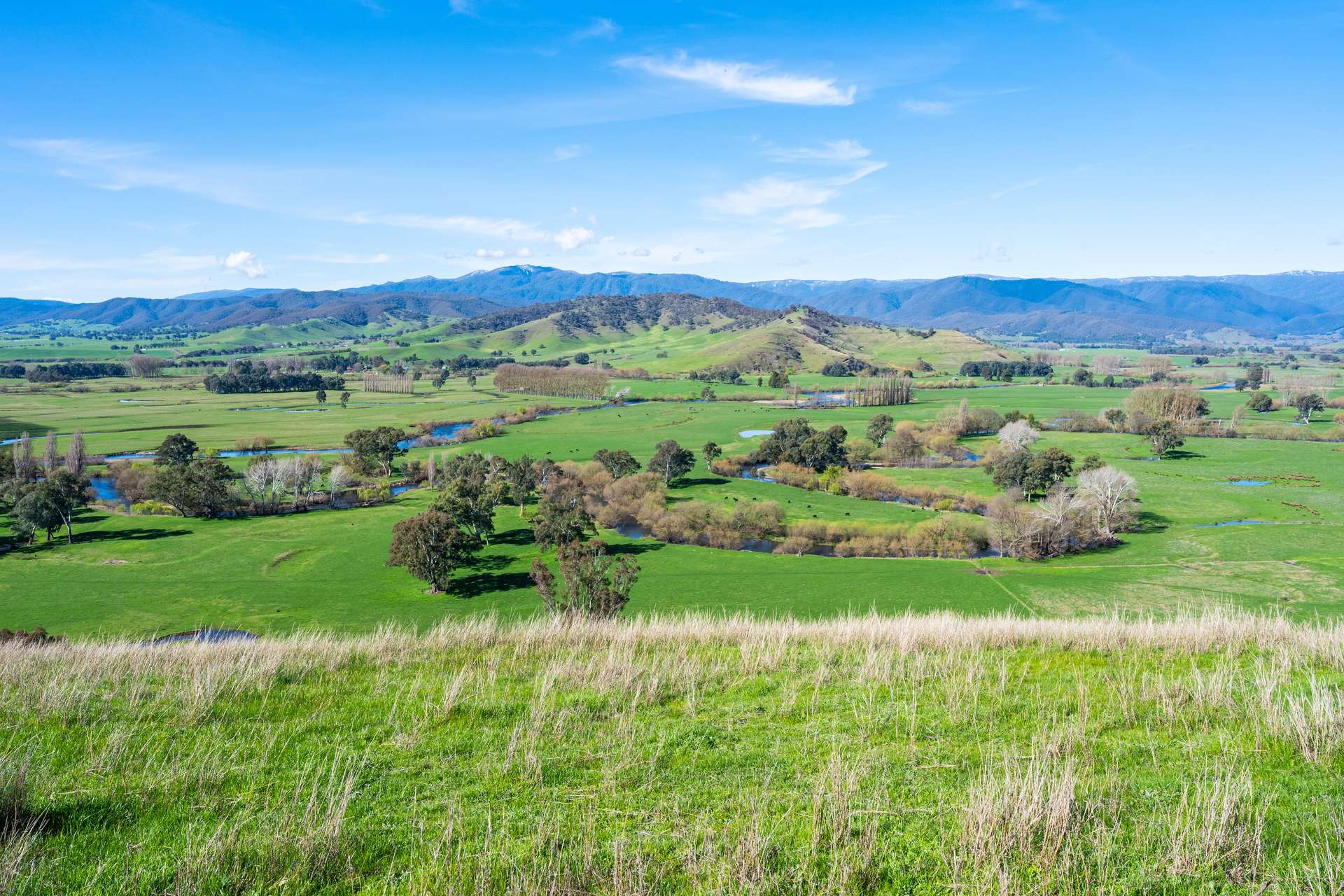 Part 165 Upper Murray Road, Towong Upper Sold by Farmbuy.com - image 30