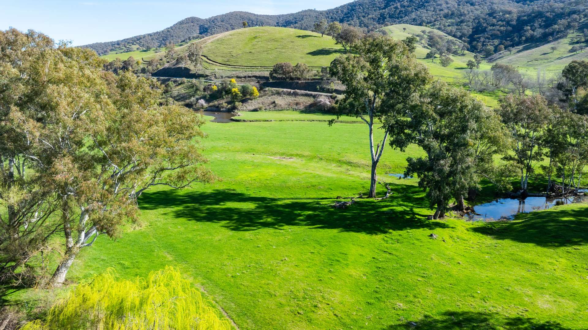 Part 165 Upper Murray Road, Towong Upper Sold by Farmbuy.com - image 3