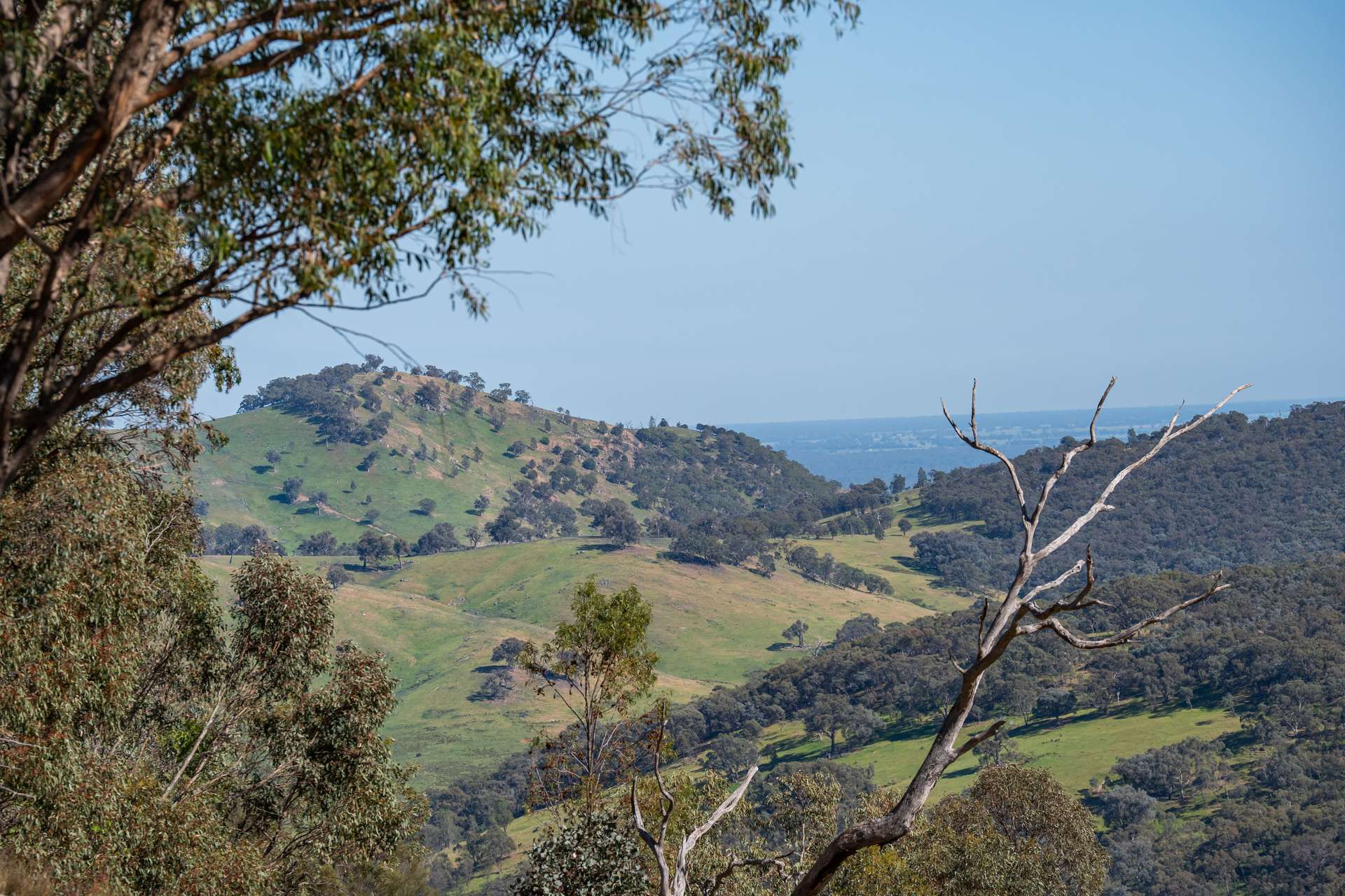 . Felltimber Creek Road, West Wodonga Sold by Farmbuy.com - image 22