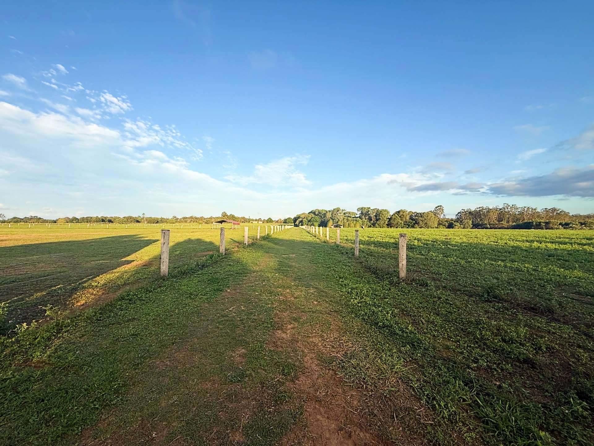 73 Richters Road, Winfield Sold by Farmbuy.com - image 34