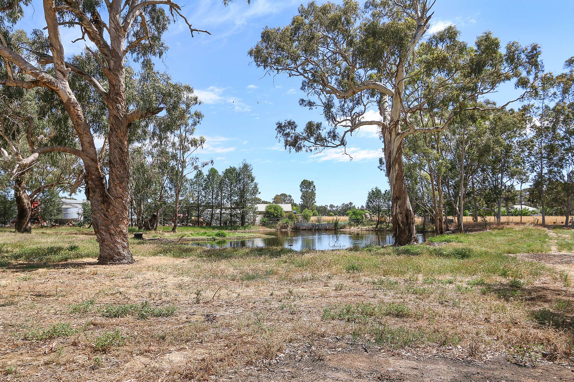 303 Skehans Lane, Corowa Sold by Farmbuy.com - image 31