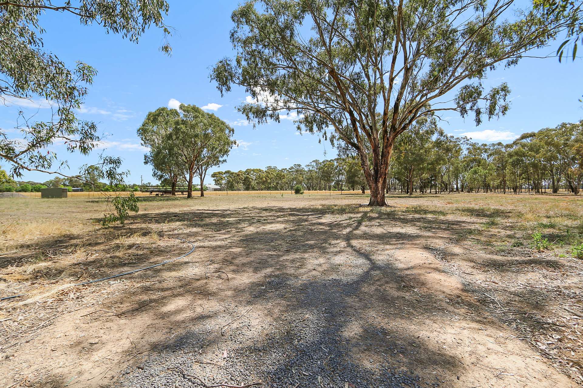 303 Skehans Lane, Corowa Sold by Farmbuy.com - image 32