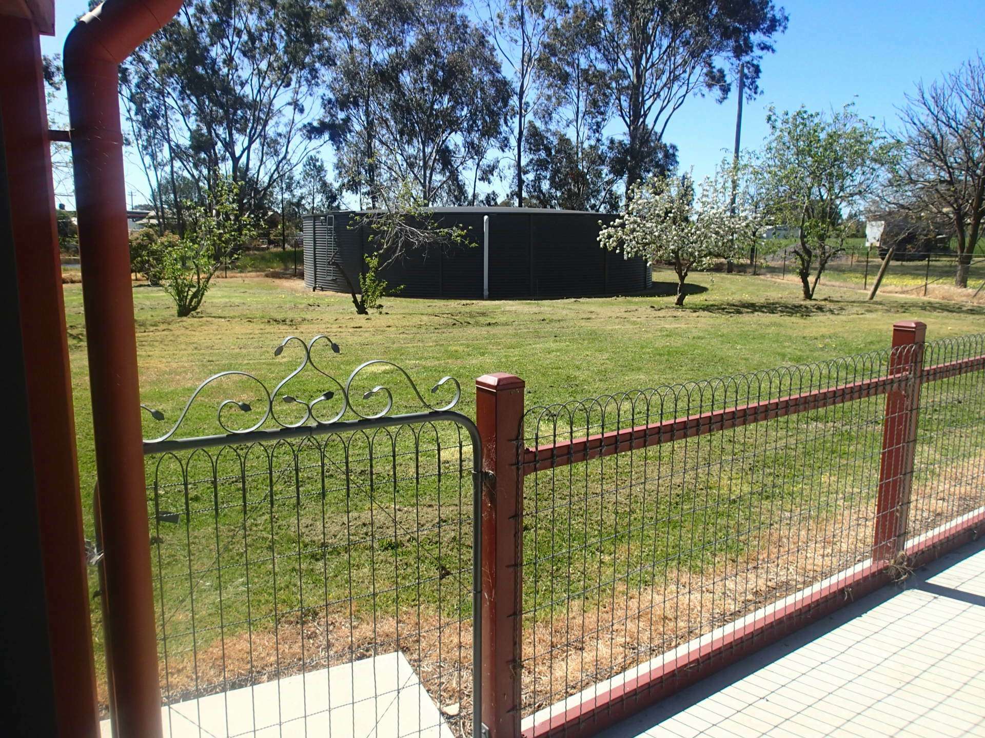 303 Skehans Lane, Corowa Sold by Farmbuy.com - image 27