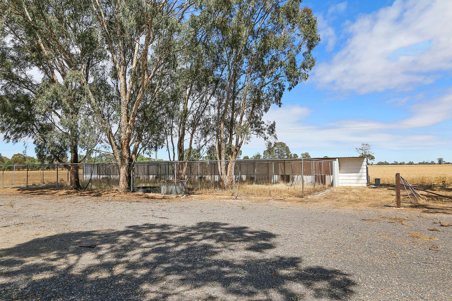 303 Skehans Lane, Corowa Sold by Farmbuy.com - image 29