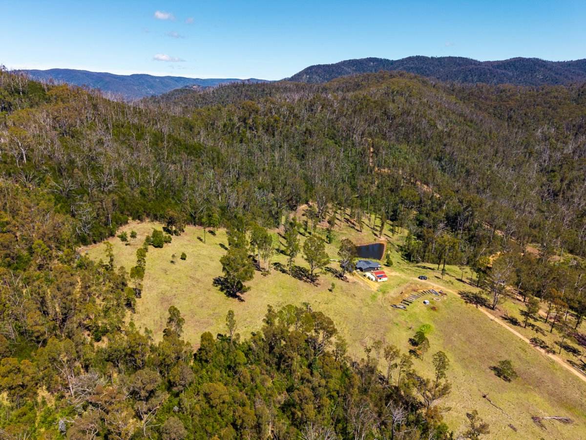 Lot 110 New Station Creek Road, Wyndham For Sale by Farmbuy.com - image 24