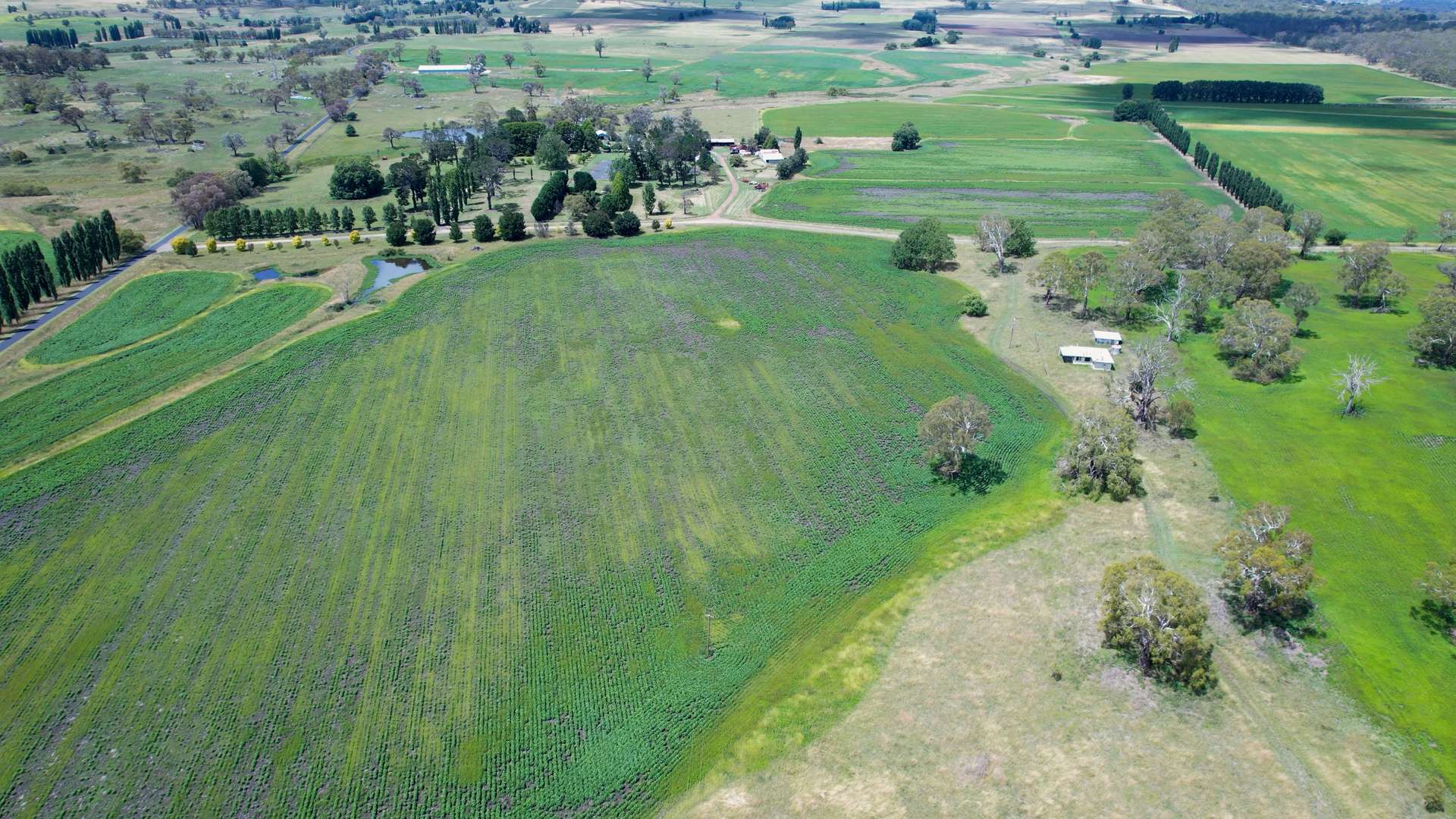 494 Stonehenge Road, Glen Innes Sold by Farmbuy.com - image 2