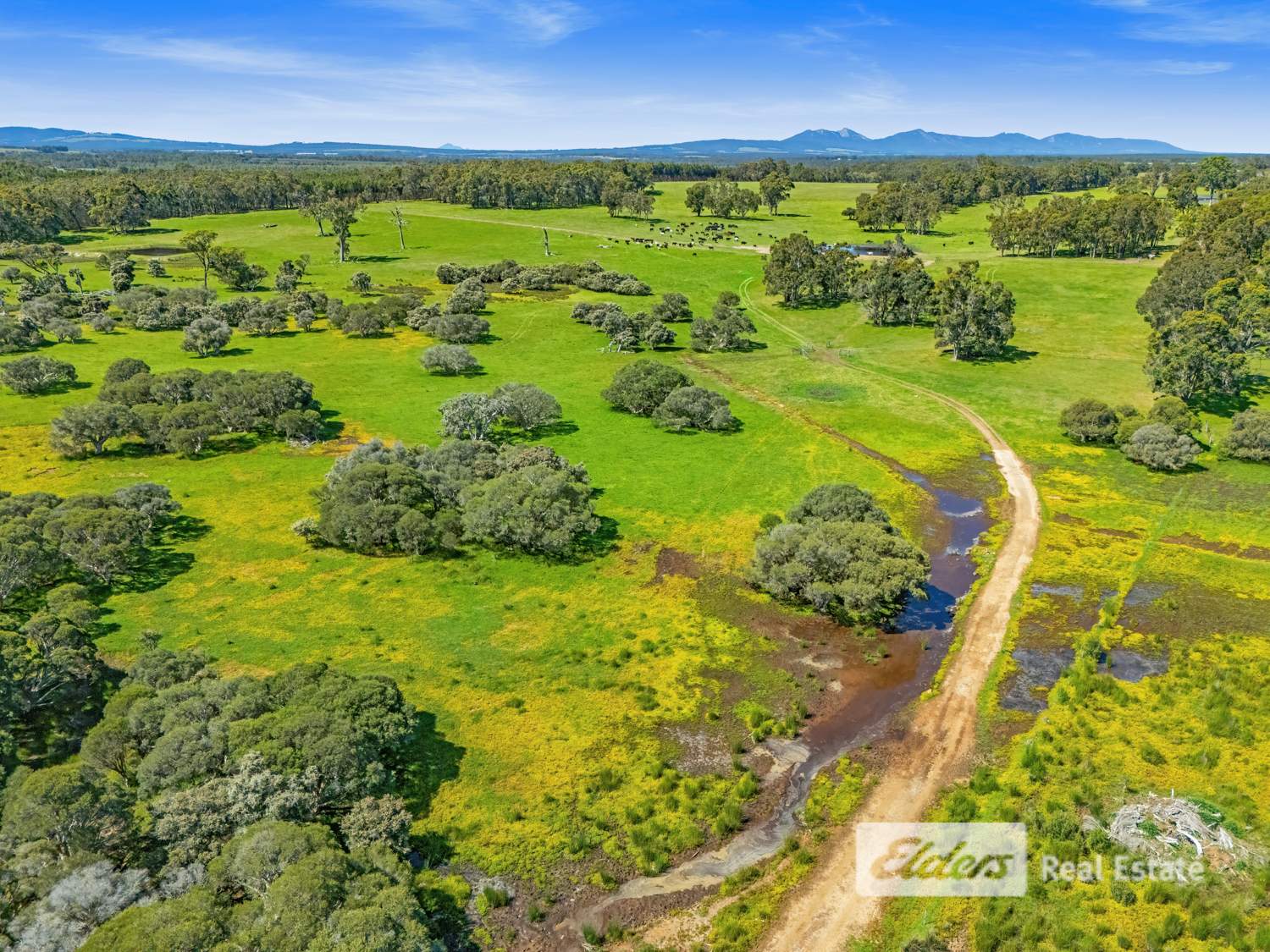 Lot 1443 Wallinger Road, Narrikup For Sale by Farmbuy.com - image 12