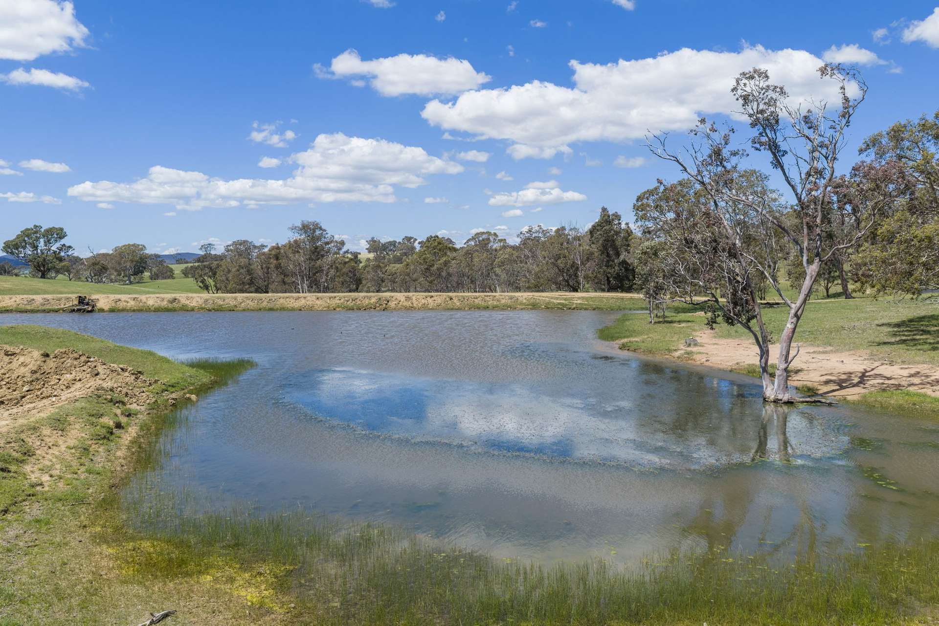 205 Pooleys Rd, Goulburn Sold by Farmbuy.com - image 24