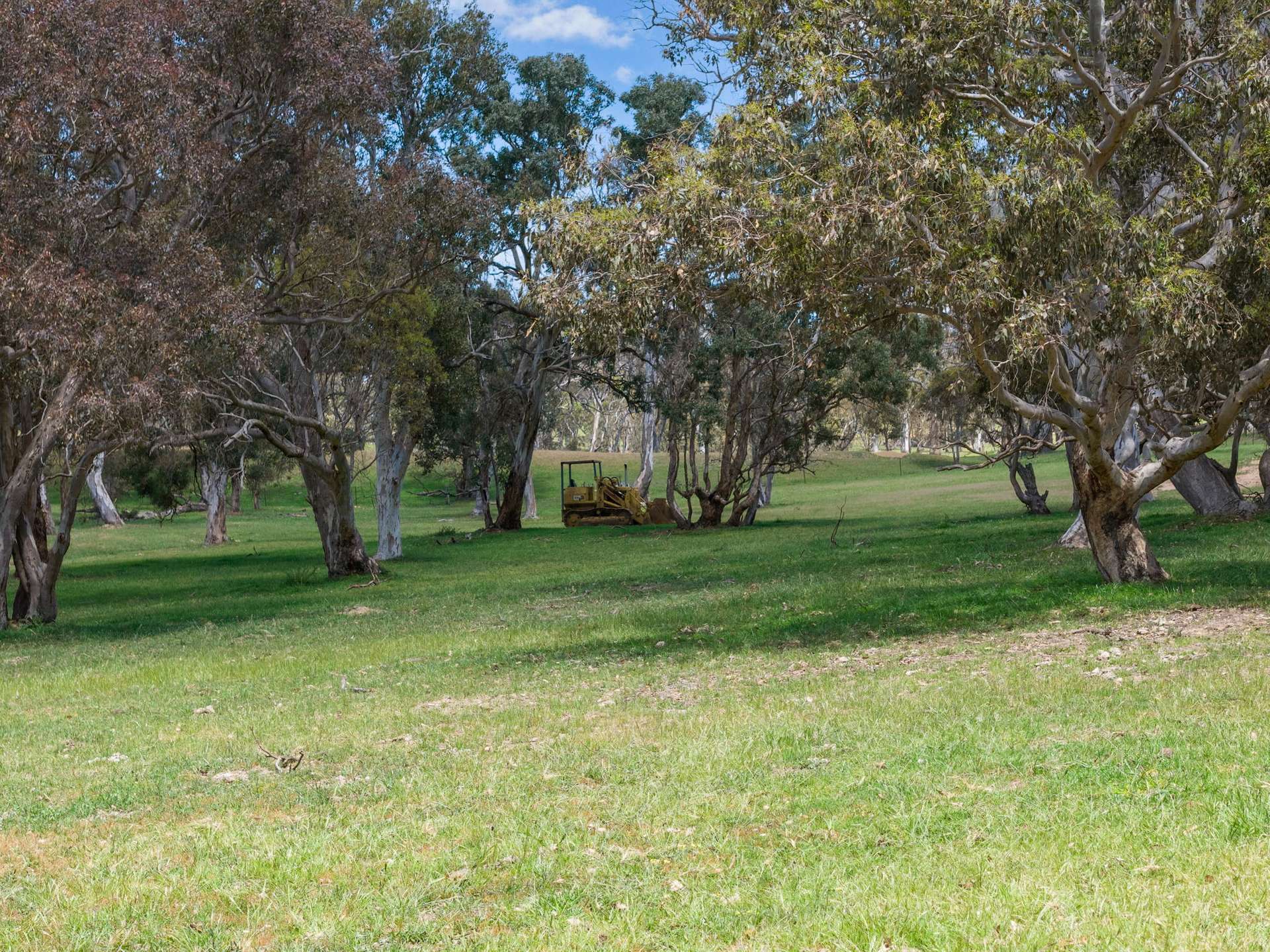 205 Pooleys Rd, Goulburn Sold by Farmbuy.com - image 27