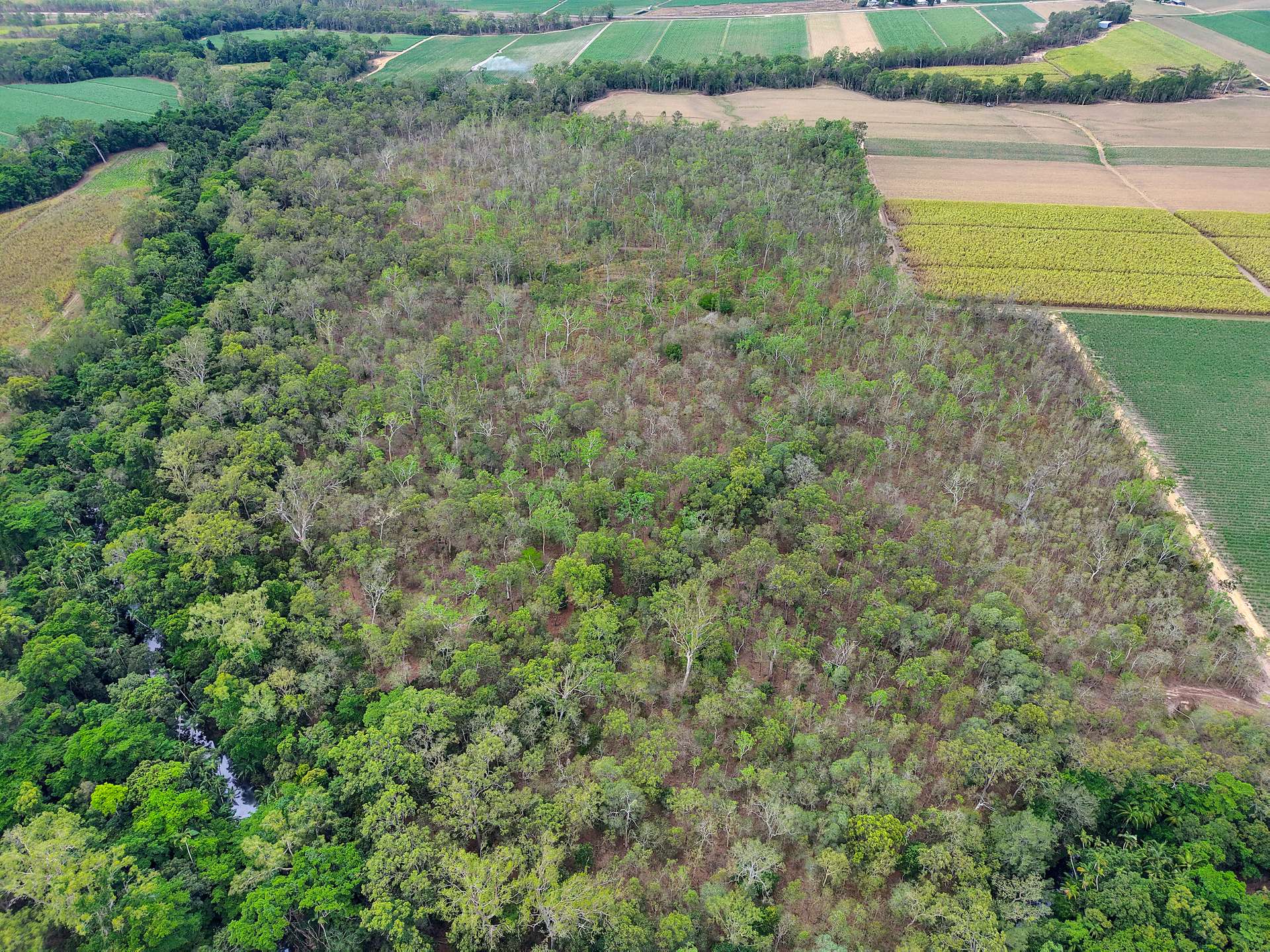 L4 Mirani- Mount Ossa Road, Benholme For Sale by Farmbuy.com - image 4