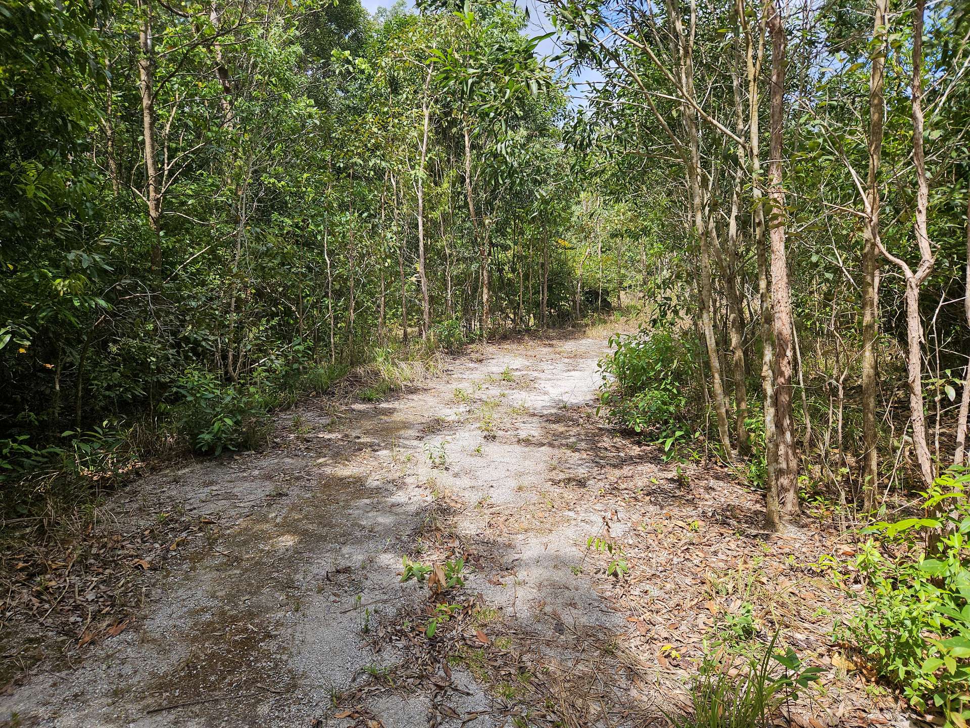 2401 Rossville Bloomfield Road, Bloomfield For Sale by Farmbuy.com - image 5