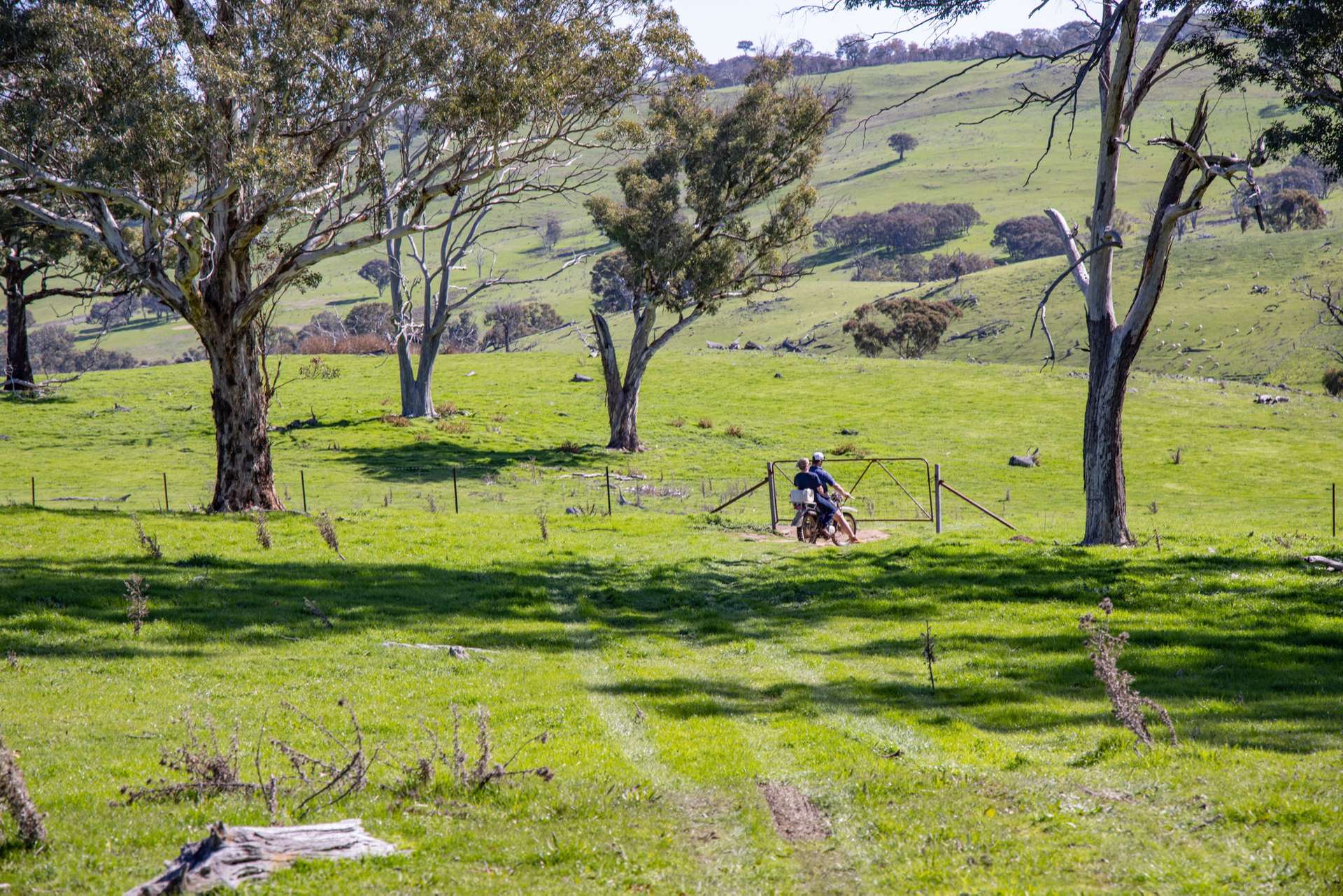 "Cottage Farm" 1001 Cooks Hill Road, Yass Sold by Farmbuy.com - image 13