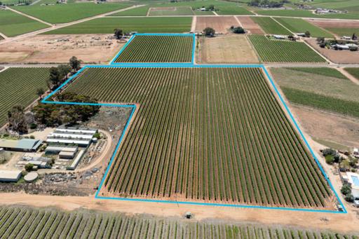 Allotment 30 & 31 Coates Road, Barmera SA 5345
