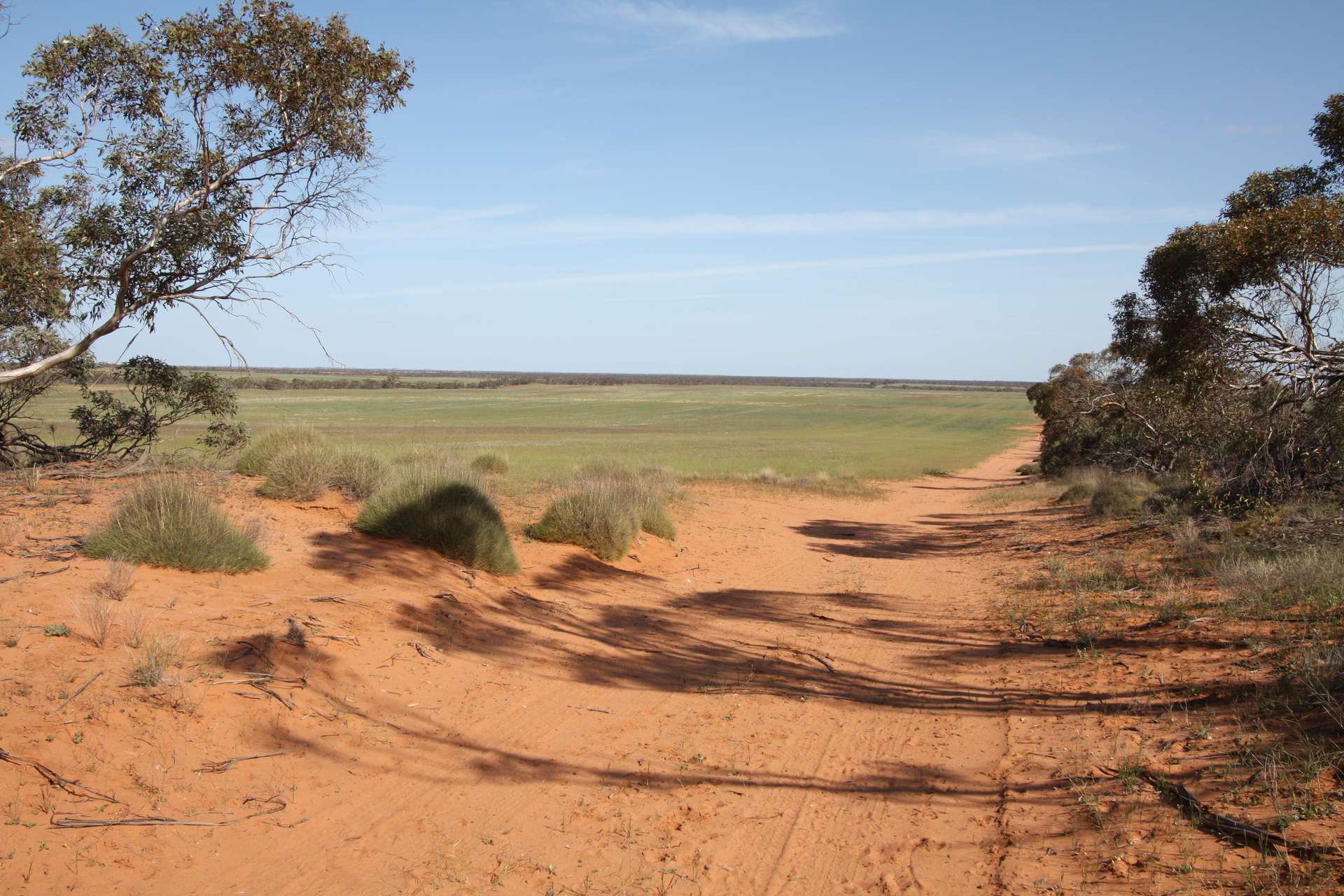 13269 Goyder Highway, Taylorville For Sale by Farmbuy.com - image 30