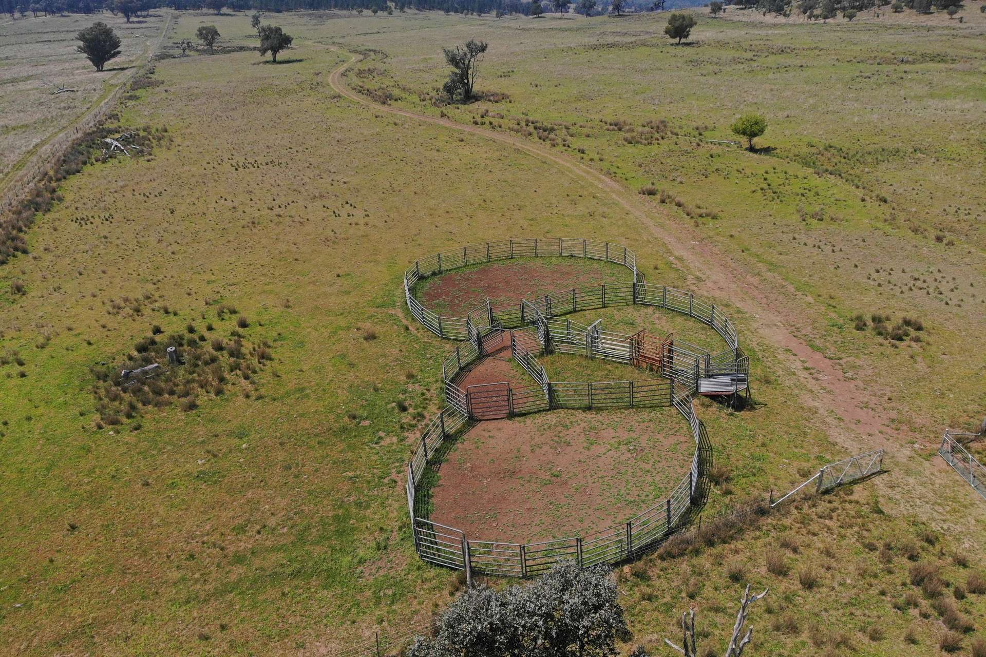436 Riverview Road, Bingara Sold by Farmbuy.com - image 19