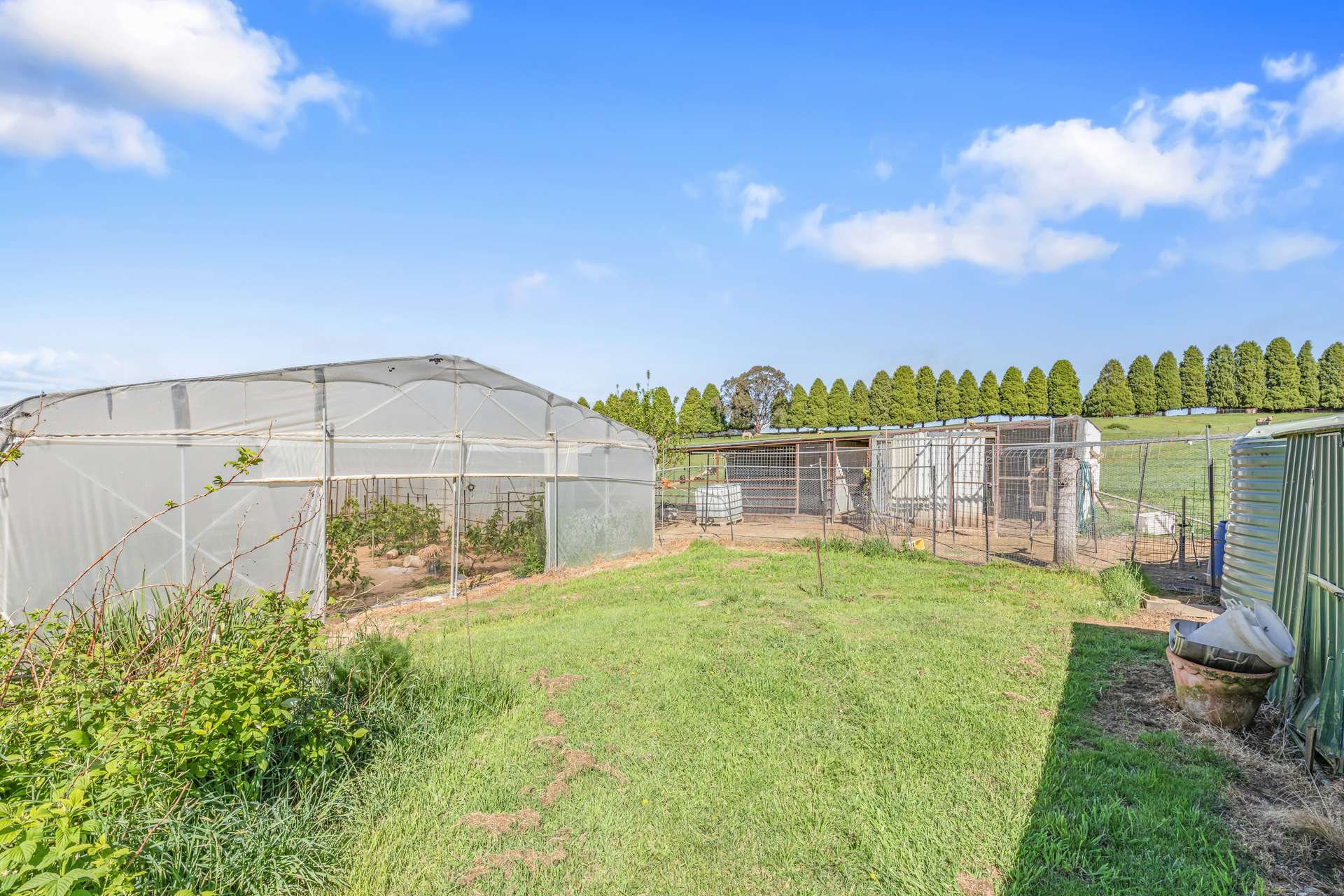 199 Baileys Lane, Oberon For Sale by Farmbuy.com - image 17