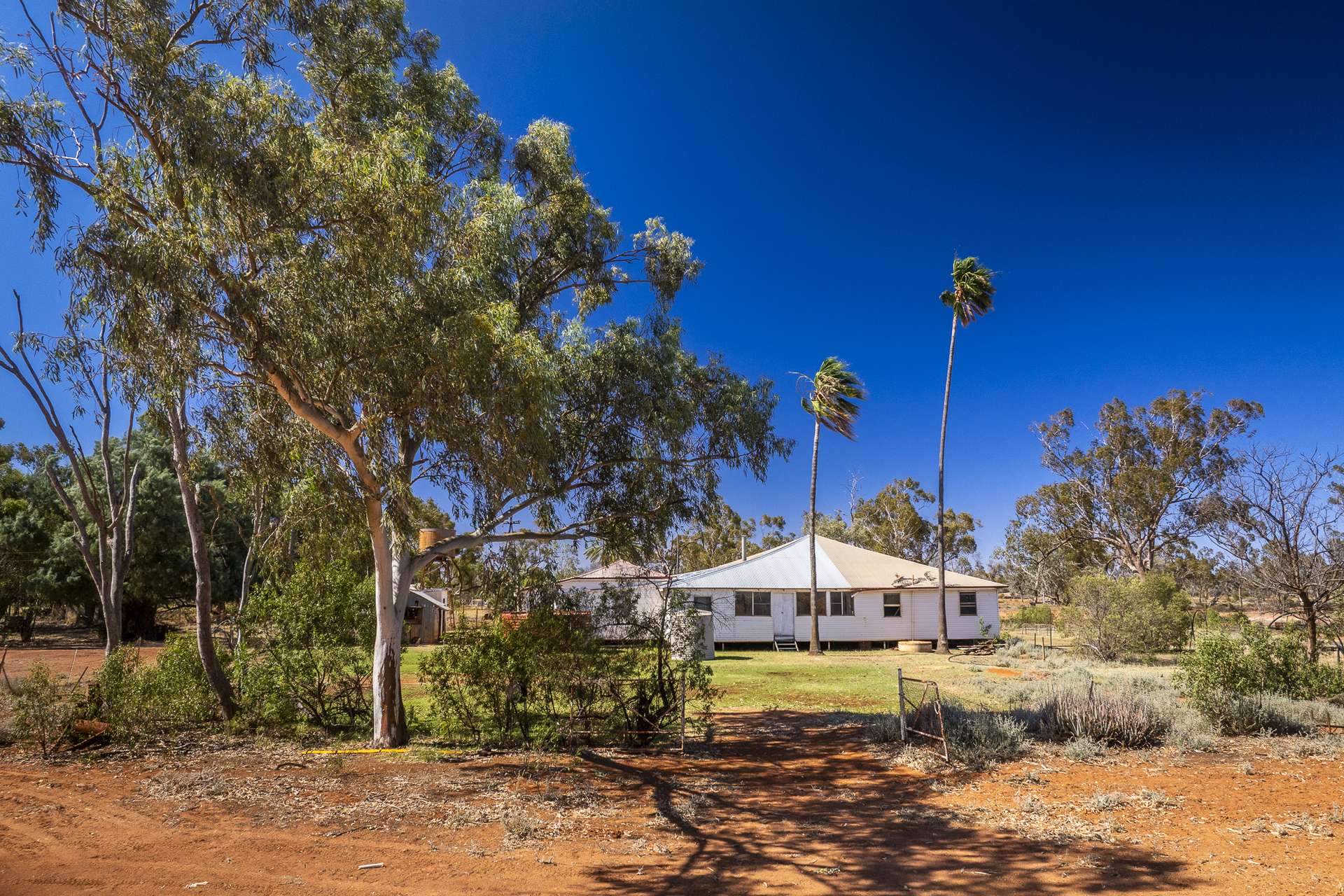 8283 Linden-Nebine Road, Nebine Sold by Farmbuy.com - image 21