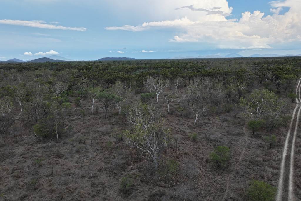 8 Coventry Road, Guthalungra QLD 4805