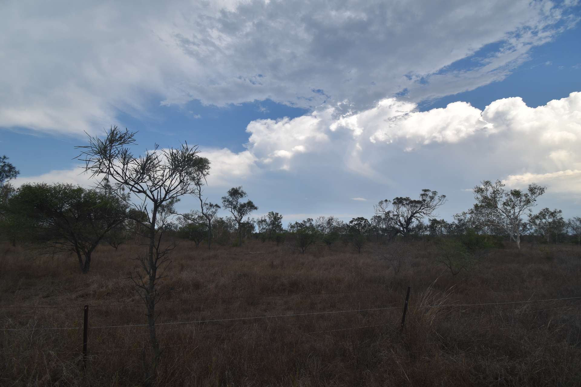 8 Coventry Road, Guthalungra For Sale by Farmbuy.com - image 10