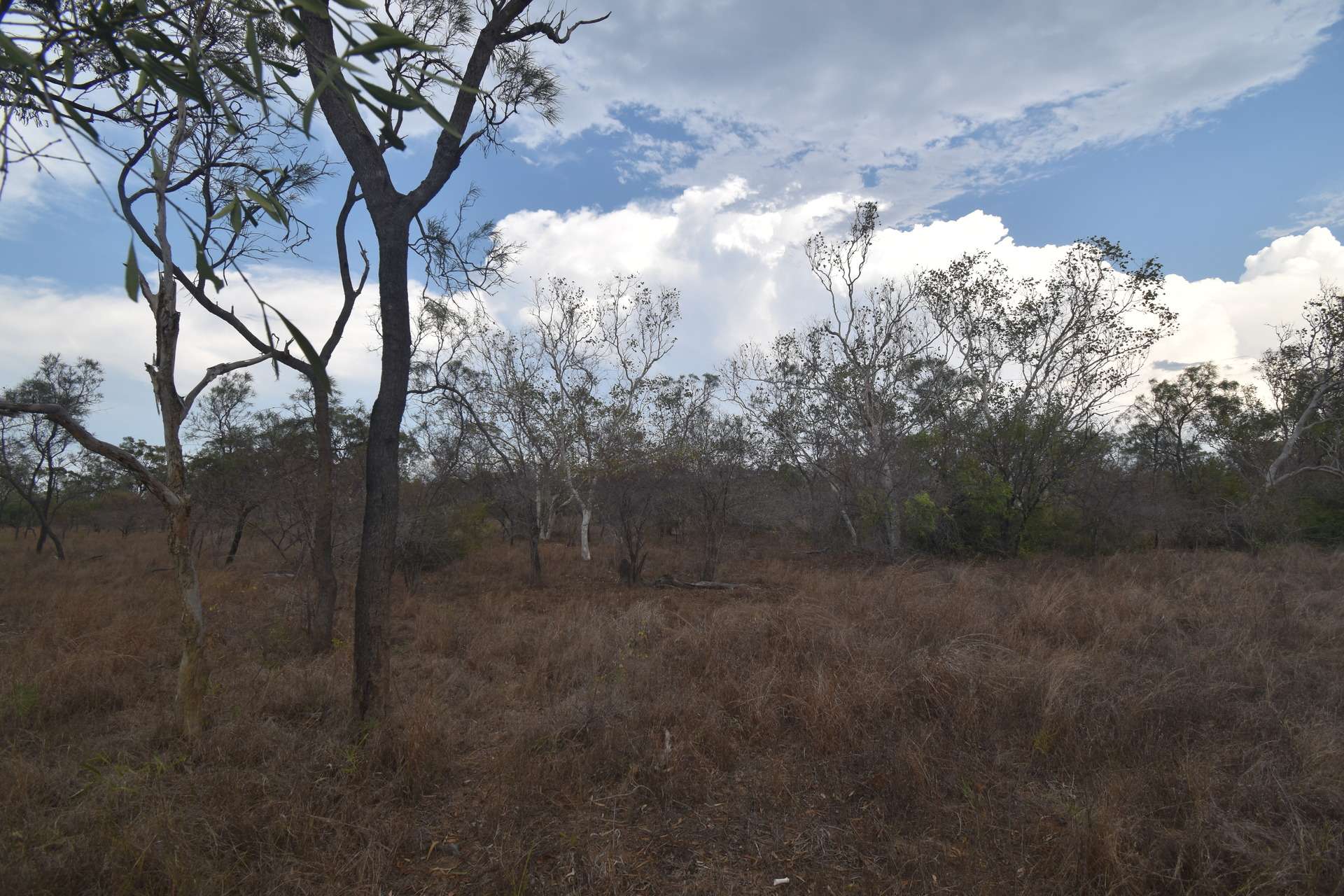 8 Coventry Road, Guthalungra For Sale by Farmbuy.com - image 9