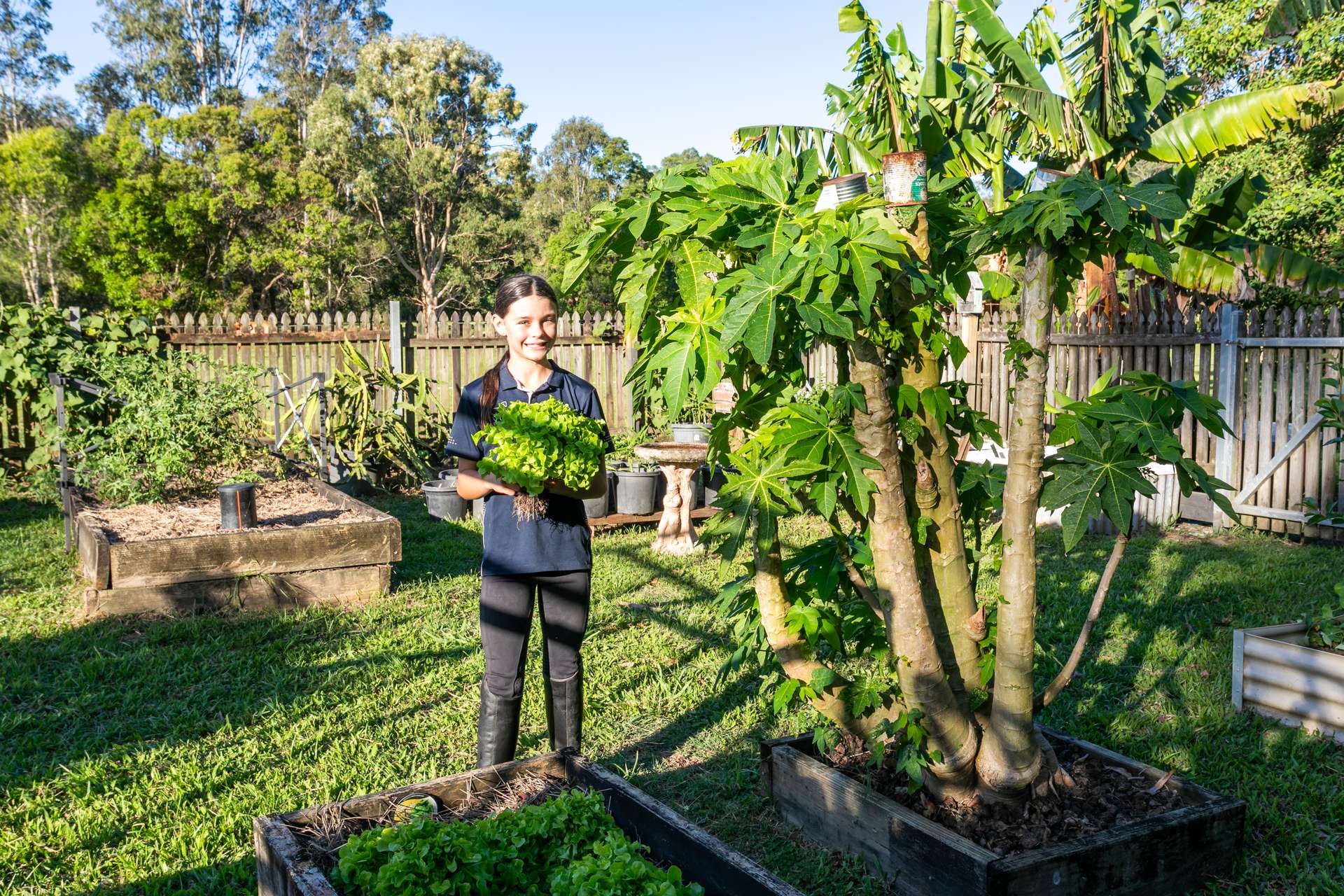 35 Lawnville Road, Cooroy Sold by Farmbuy.com - image 26