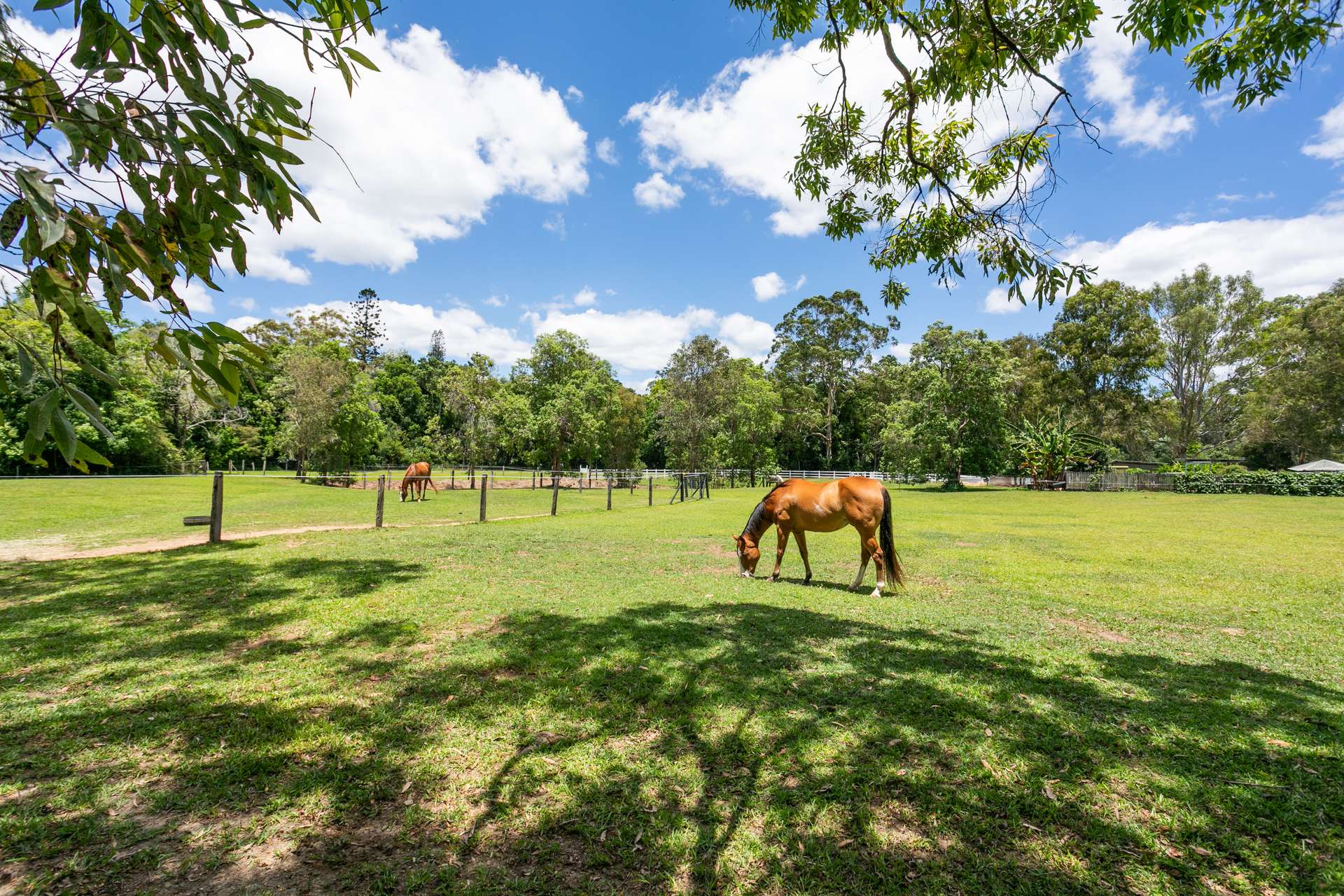 35 Lawnville Road, Cooroy Sold by Farmbuy.com - image 17