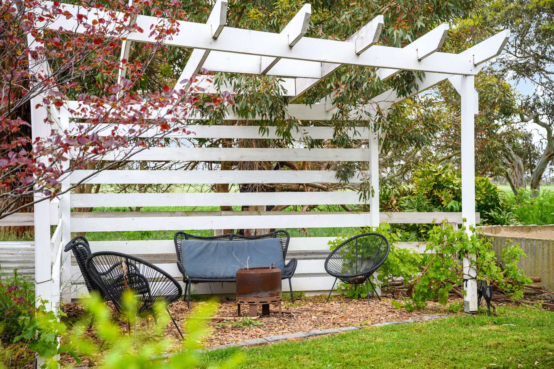 771 Belt Road, Millicent For Sale by Farmbuy.com - image 23
