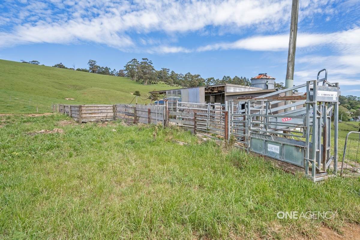 1383 Trowutta Road, Edith Creek For Sale by Farmbuy.com - image 23