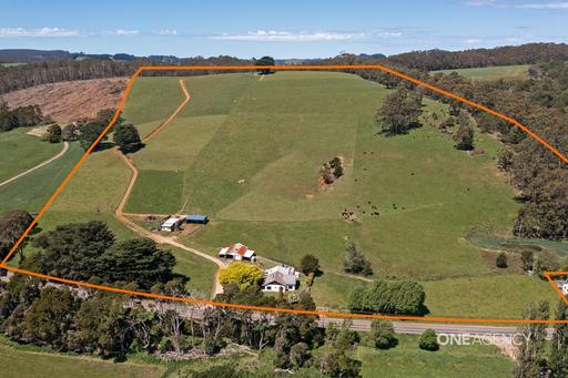 1383 Trowutta Road, Edith Creek TAS 7330