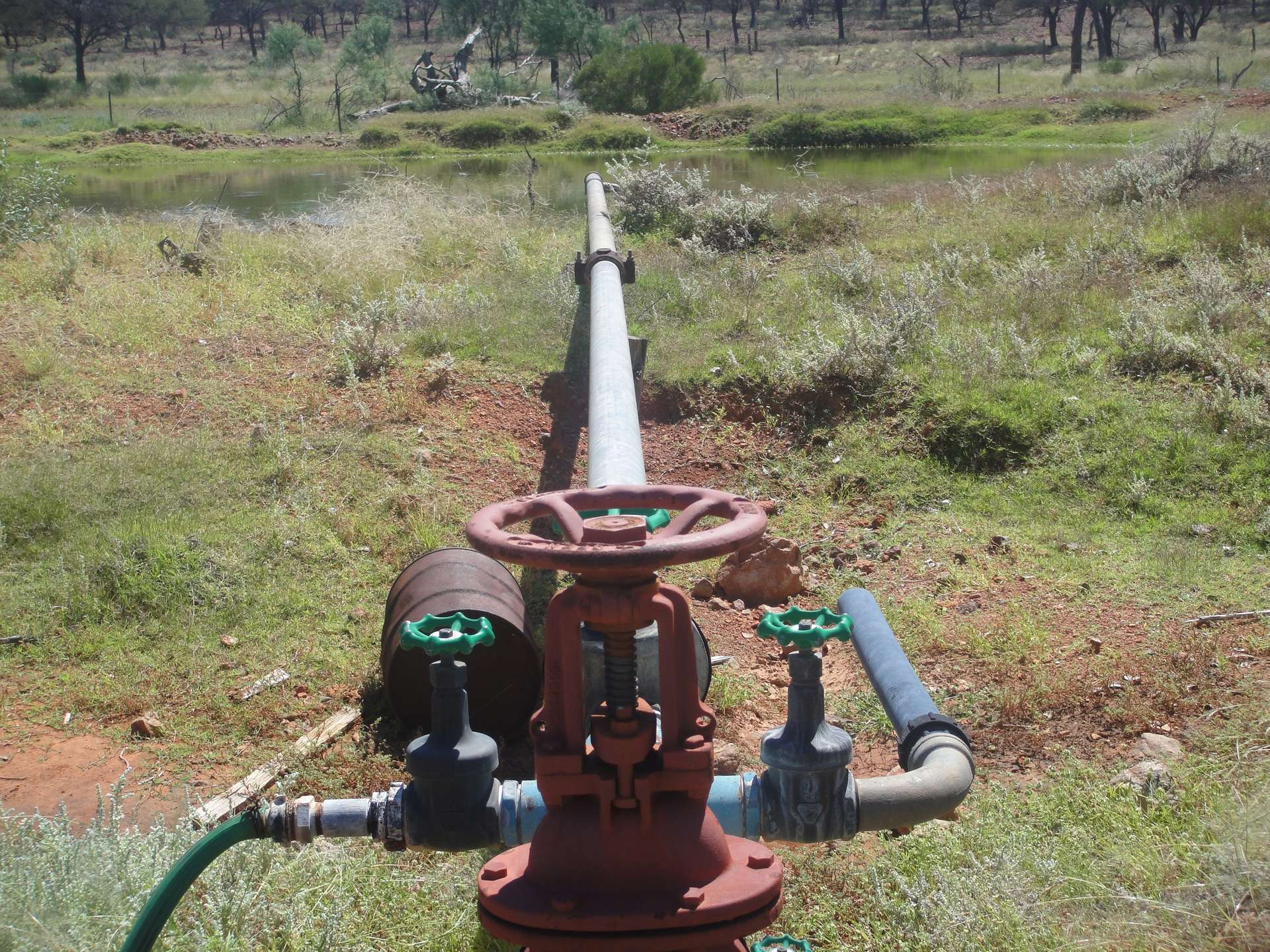 " Beechal ", Quilpie Sold by Farmbuy.com - image 6