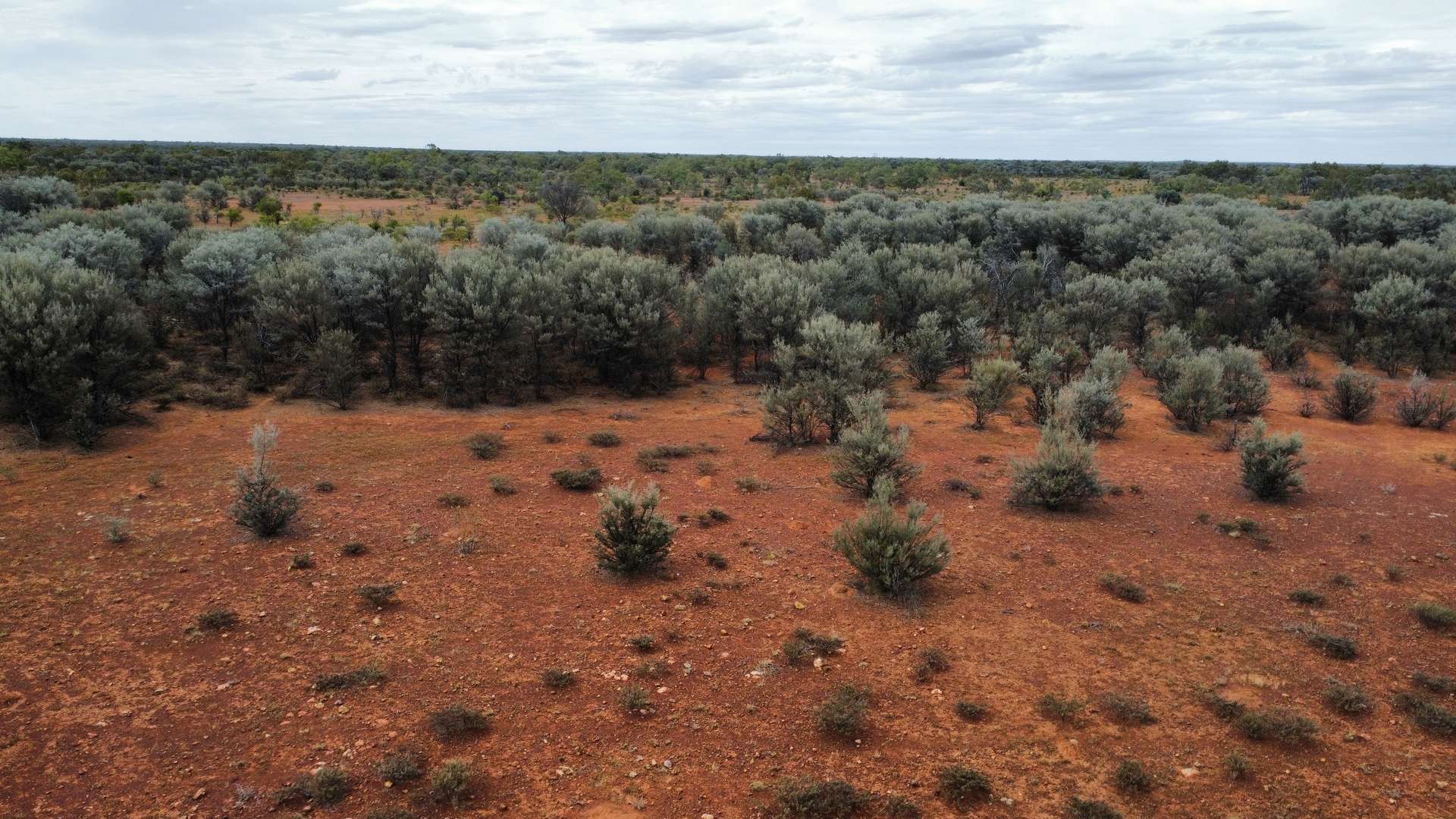 " Beechal ", Quilpie Sold by Farmbuy.com - image 4