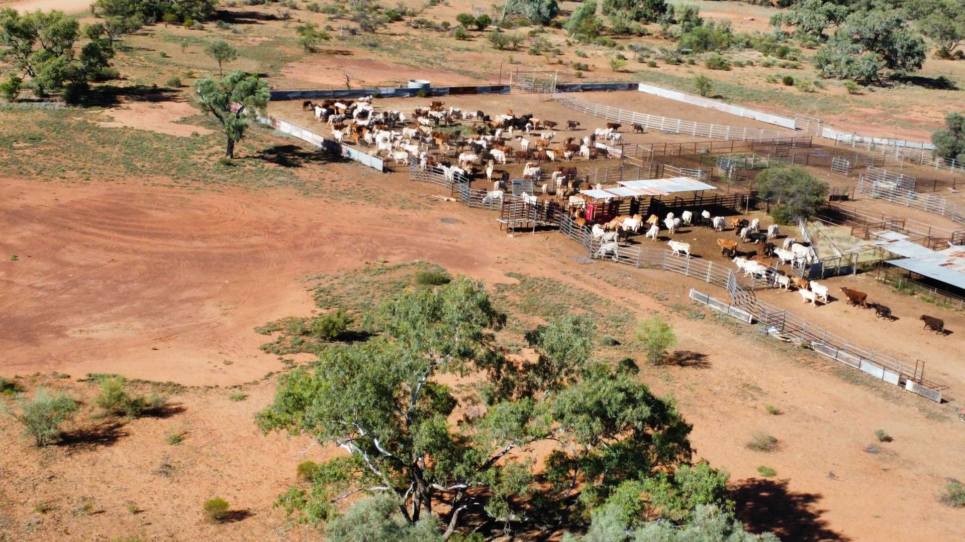 " Beechal ", Quilpie Sold by Farmbuy.com - image 22